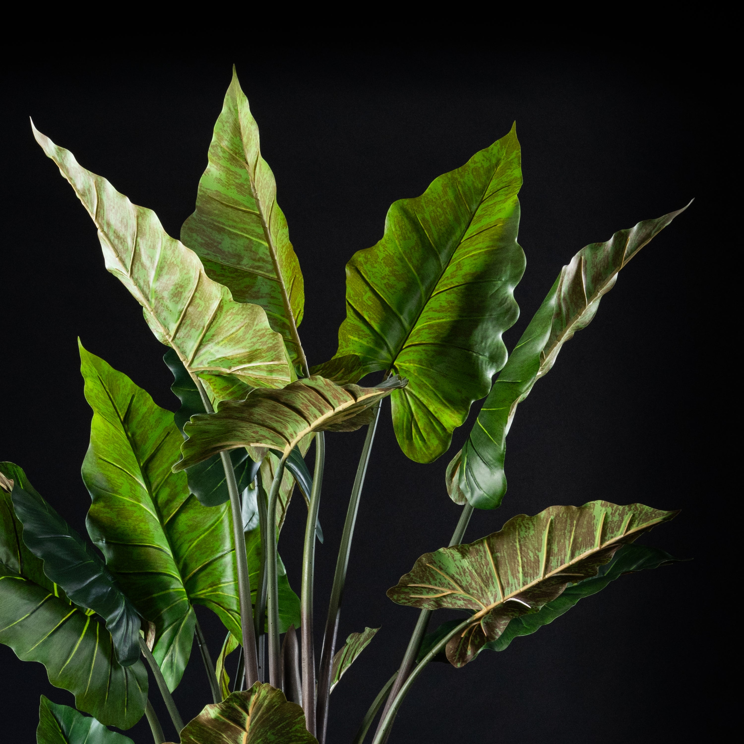 Plante artificielle Alocasia Zebrina 250 cm Galan GA — détail feuillage réaliste, sans entretien