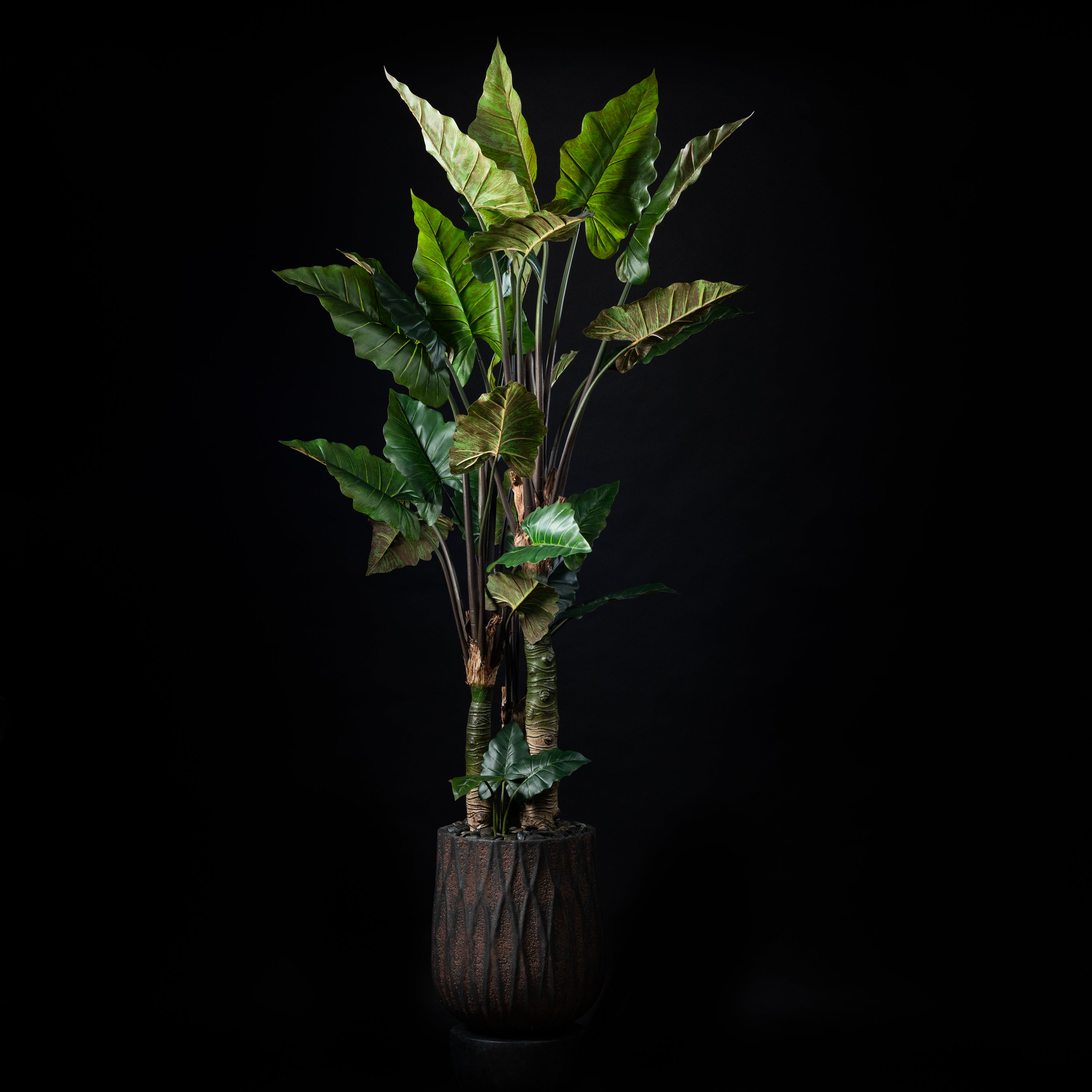 Plante artificielle Alocasia Zebrina 250 cm Galan GA — visuel produit, sans entretien pour intérieur