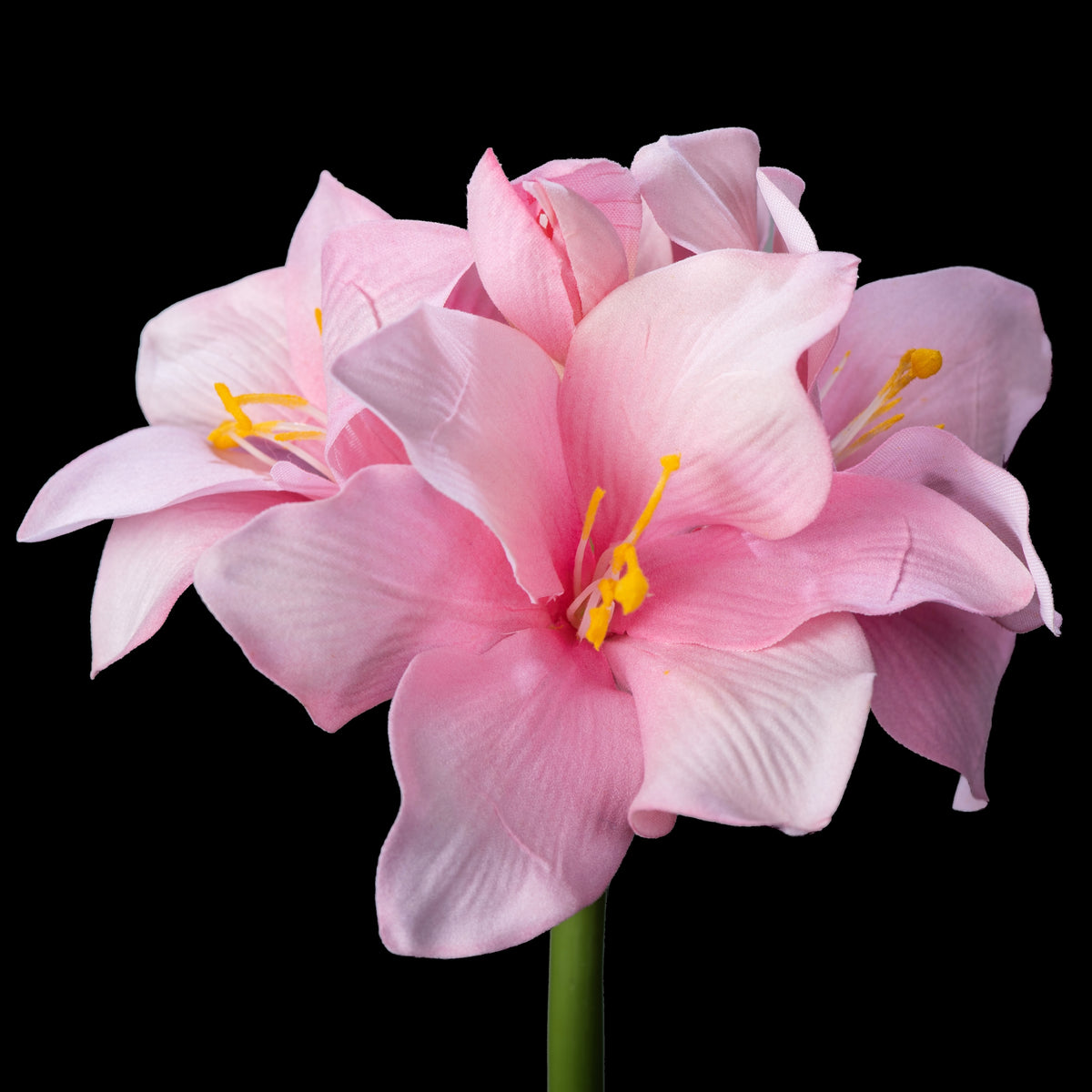 Amaryllis artificielle en velours rose 51 cm, tête de plusieurs fleurs sur tige verte