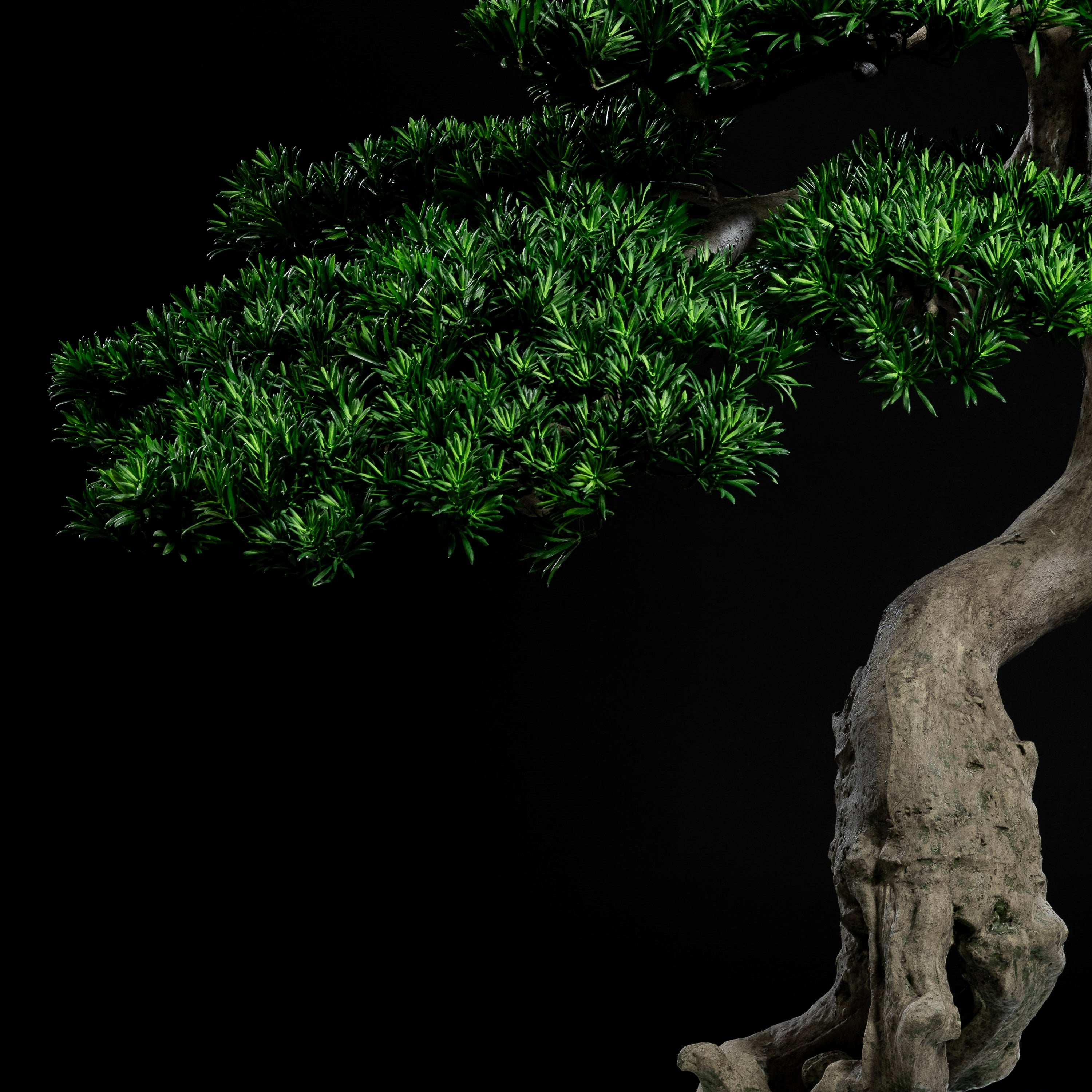 Arbre japonais artificiel Pin nuage 180 cm — détail feuillage réaliste, sans entretien
