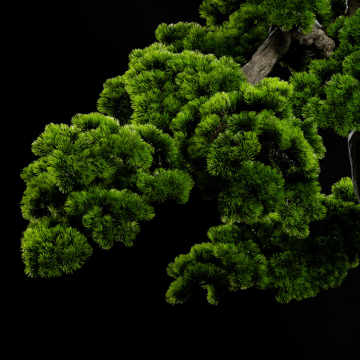 Arbre japonais artificiel Pin nuage 205 cm — détail feuillage réaliste, sans entretien