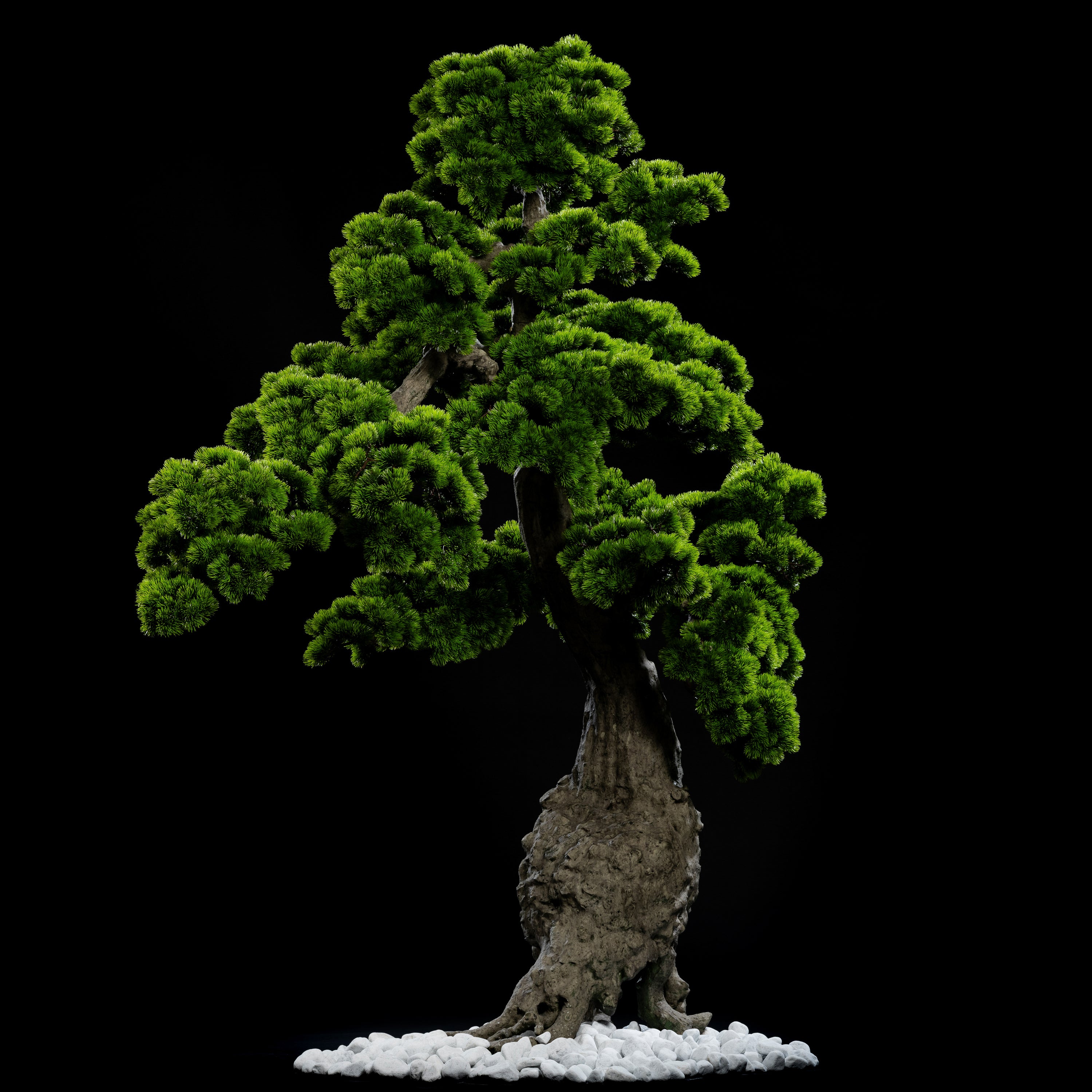 Arbre japonais artificiel Pin nuage 205 cm — visuel produit, sans entretien pour intérieur