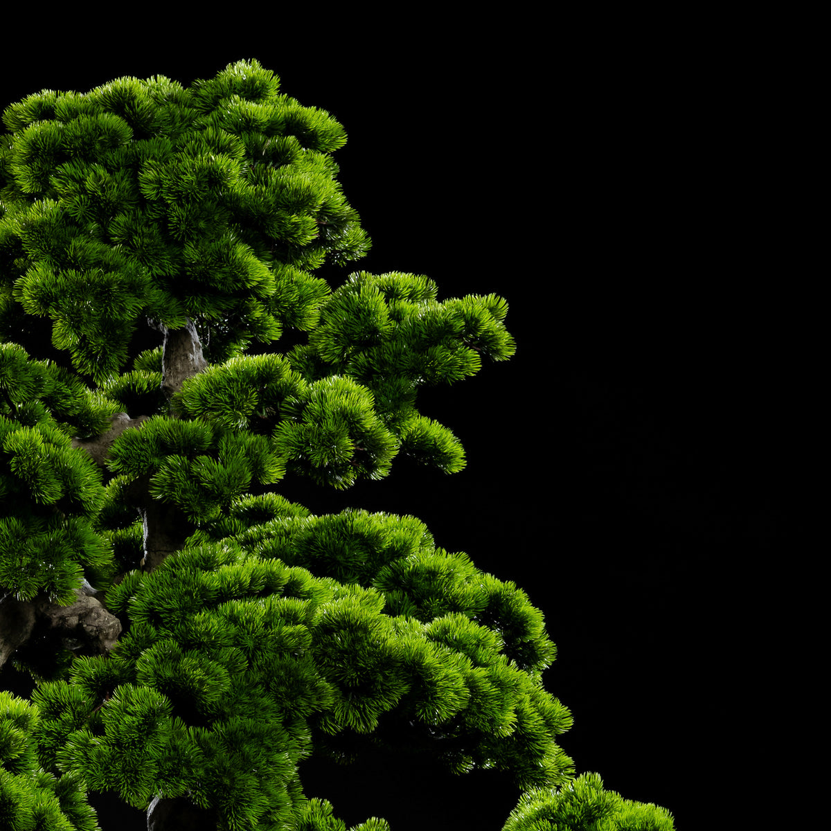 Arbre japonais artificiel Pin nuage 205 cm Galan GA — déco intérieur réaliste sans entretien