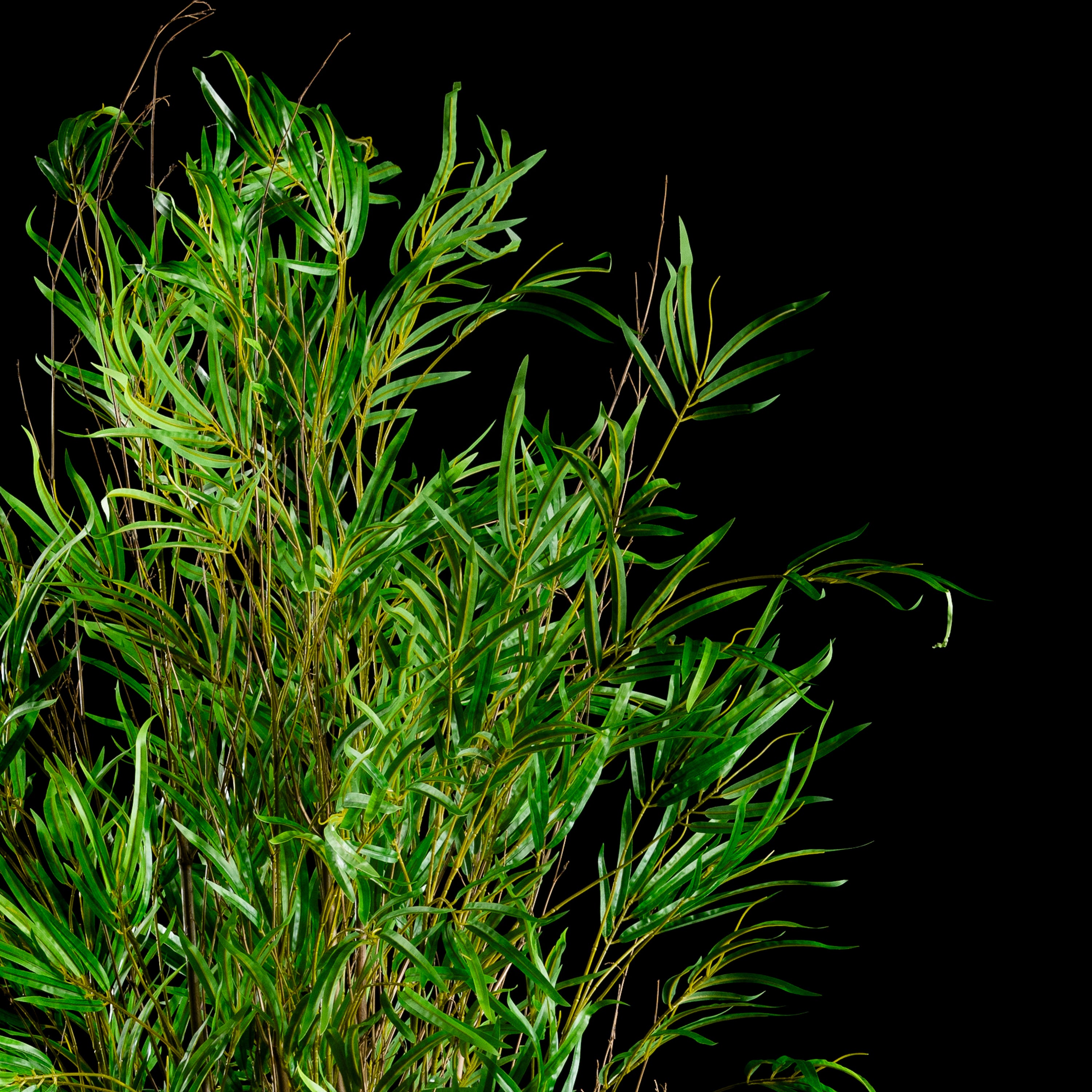 Bambou multi troncs — vue rapprochée, gros plan sur feuillage du plante artificielle