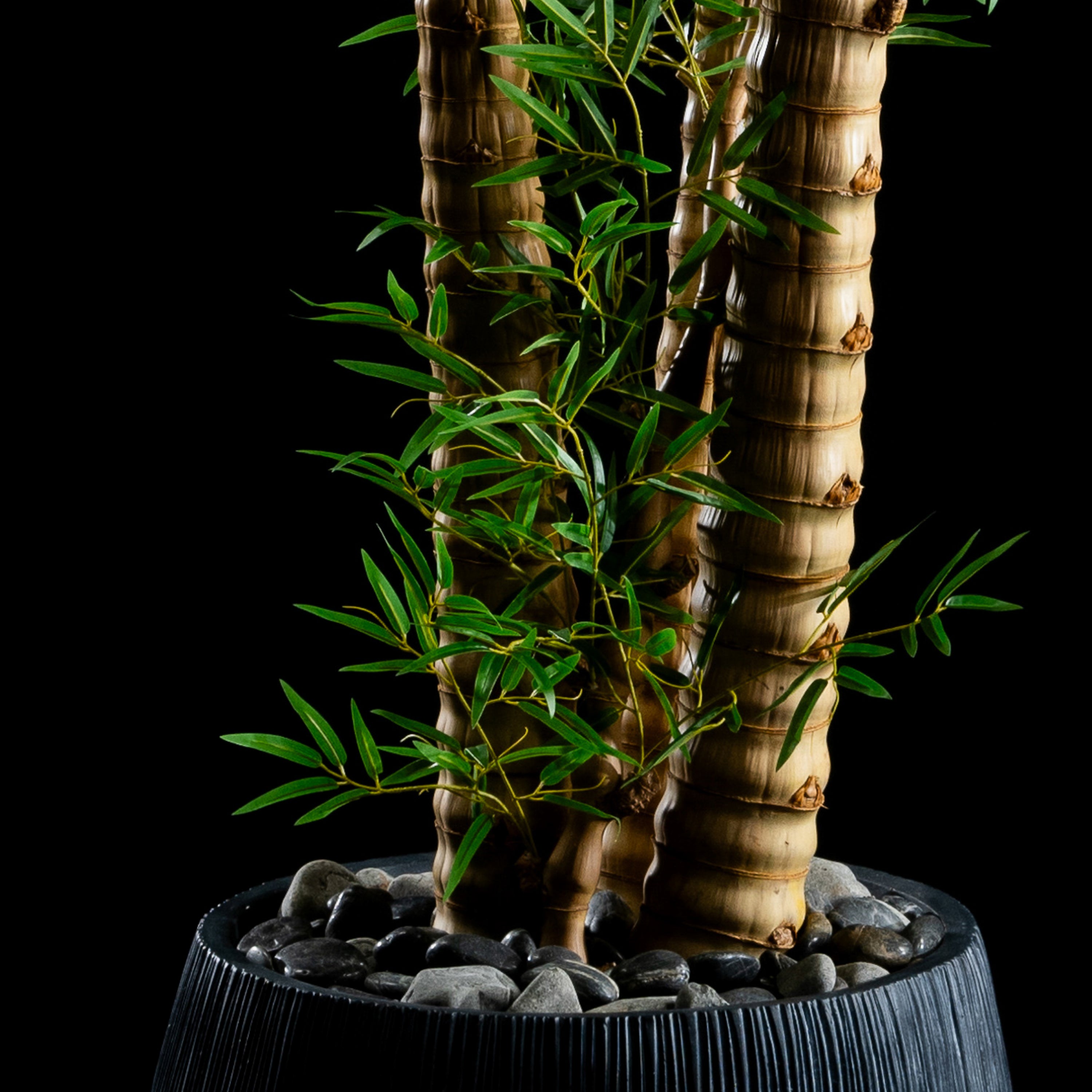 Bambou Verrucosa — vue de face, détail feuillage du plante artificielle réaliste
