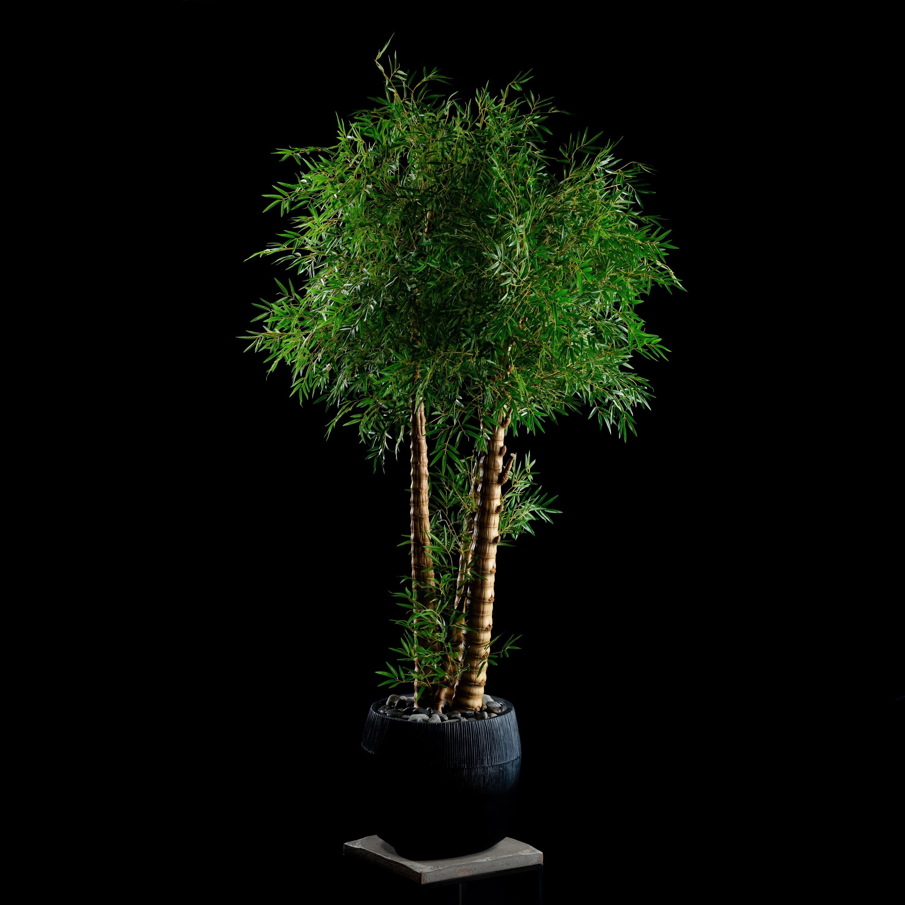 Bambou Verrucosa — plante artificielle haut de gamme et réaliste, plante d&