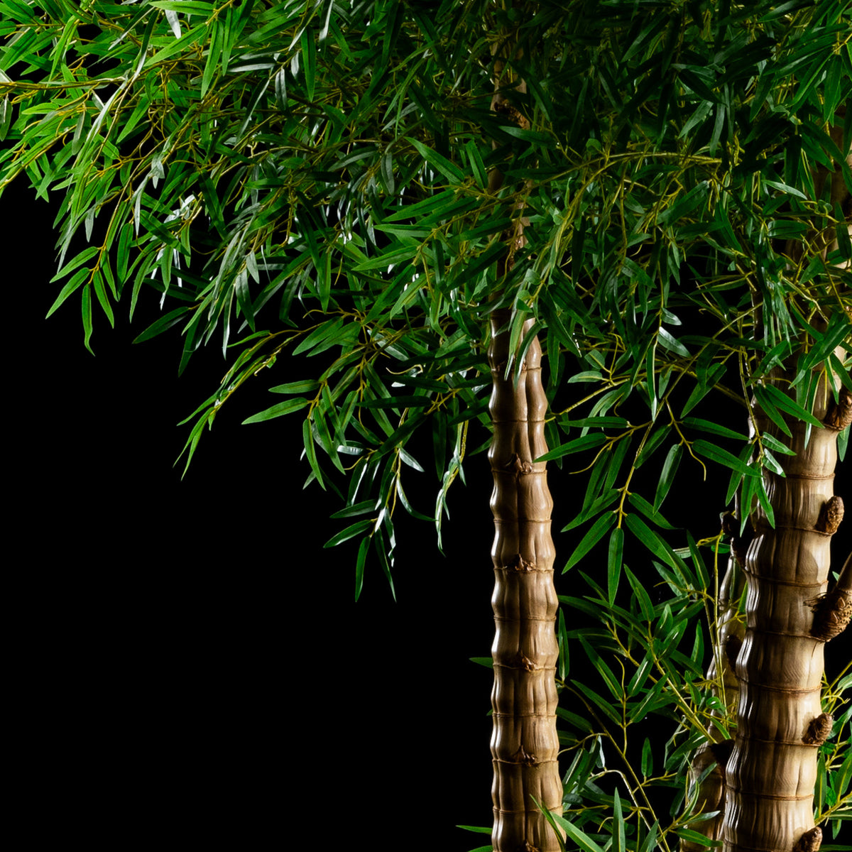 Bambou Verrucosa — vue alternative, plante artificielle plante d&