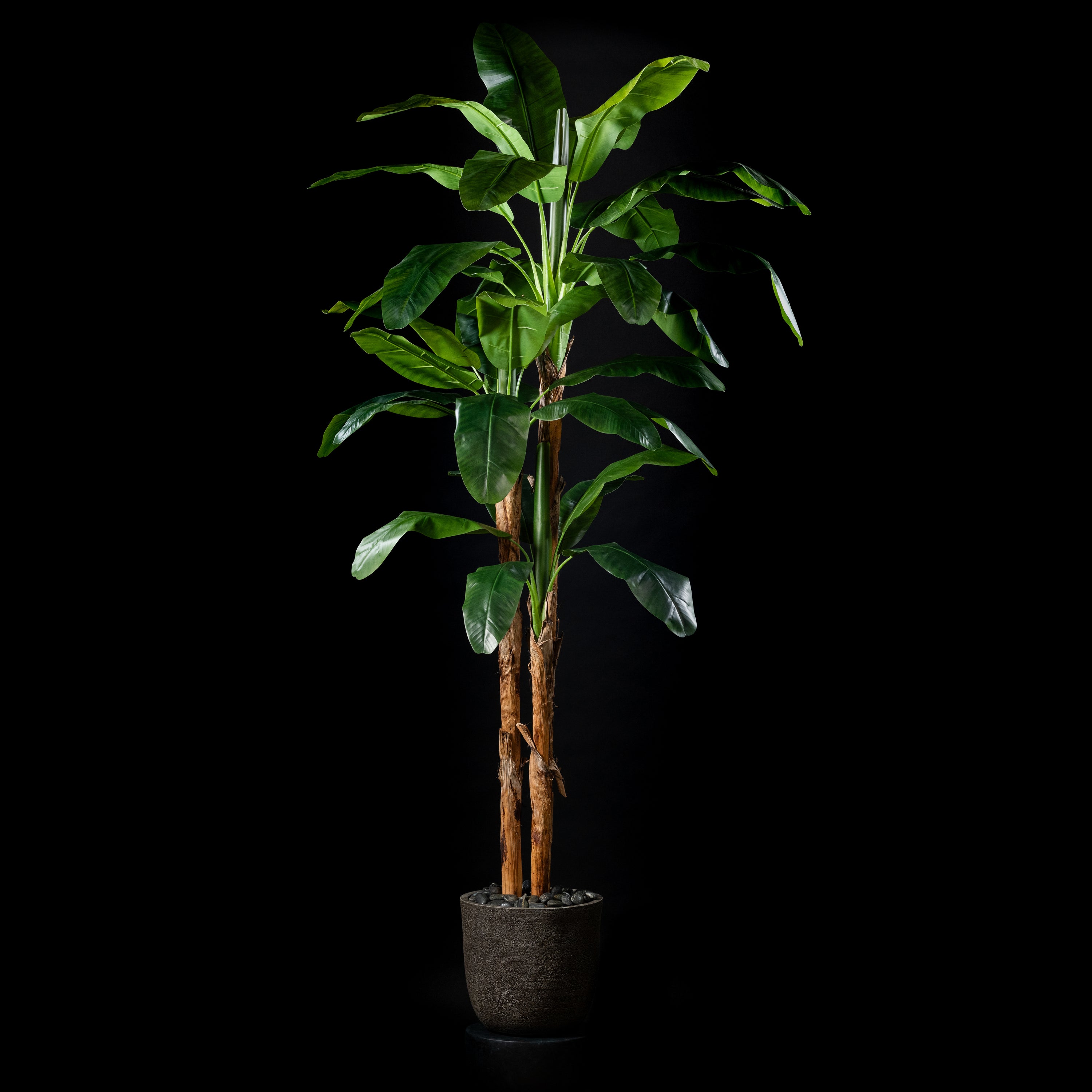 Bananier artificiel 3 troncs 300 cm — visuel produit, sans entretien pour intérieur