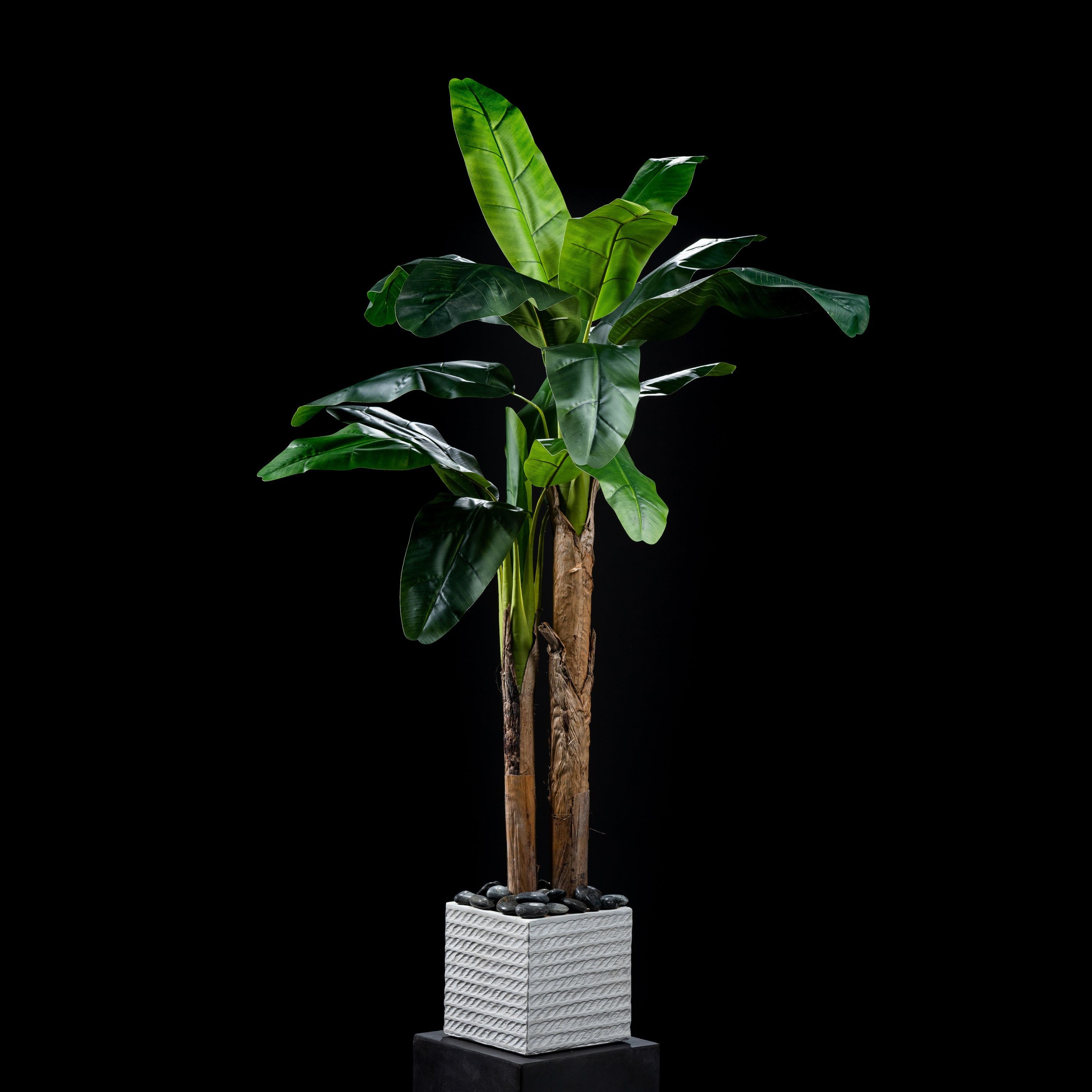 Bananier artificiel Musa 180 cm — visuel produit, sans entretien pour intérieur