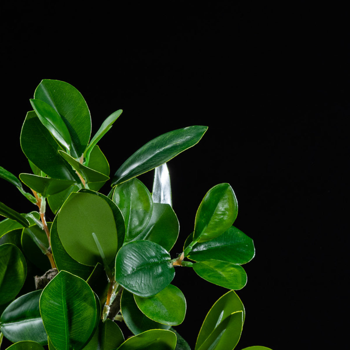 Bonsaï artificiel Ficus 30 cm — détail feuillage réaliste, sans entretien