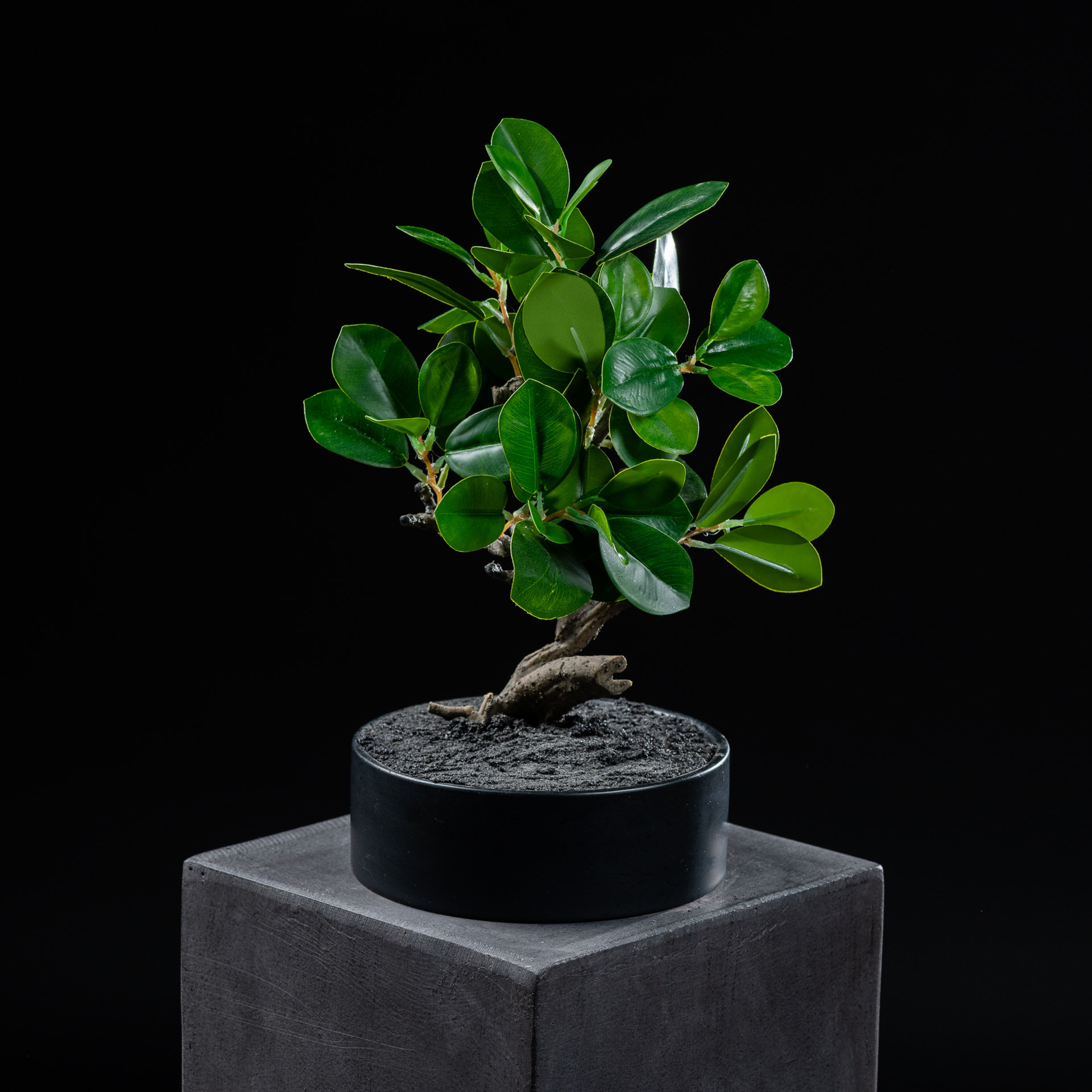 Bonsaï artificiel Ficus 30 cm Galan GA — déco intérieur réaliste sans entretien