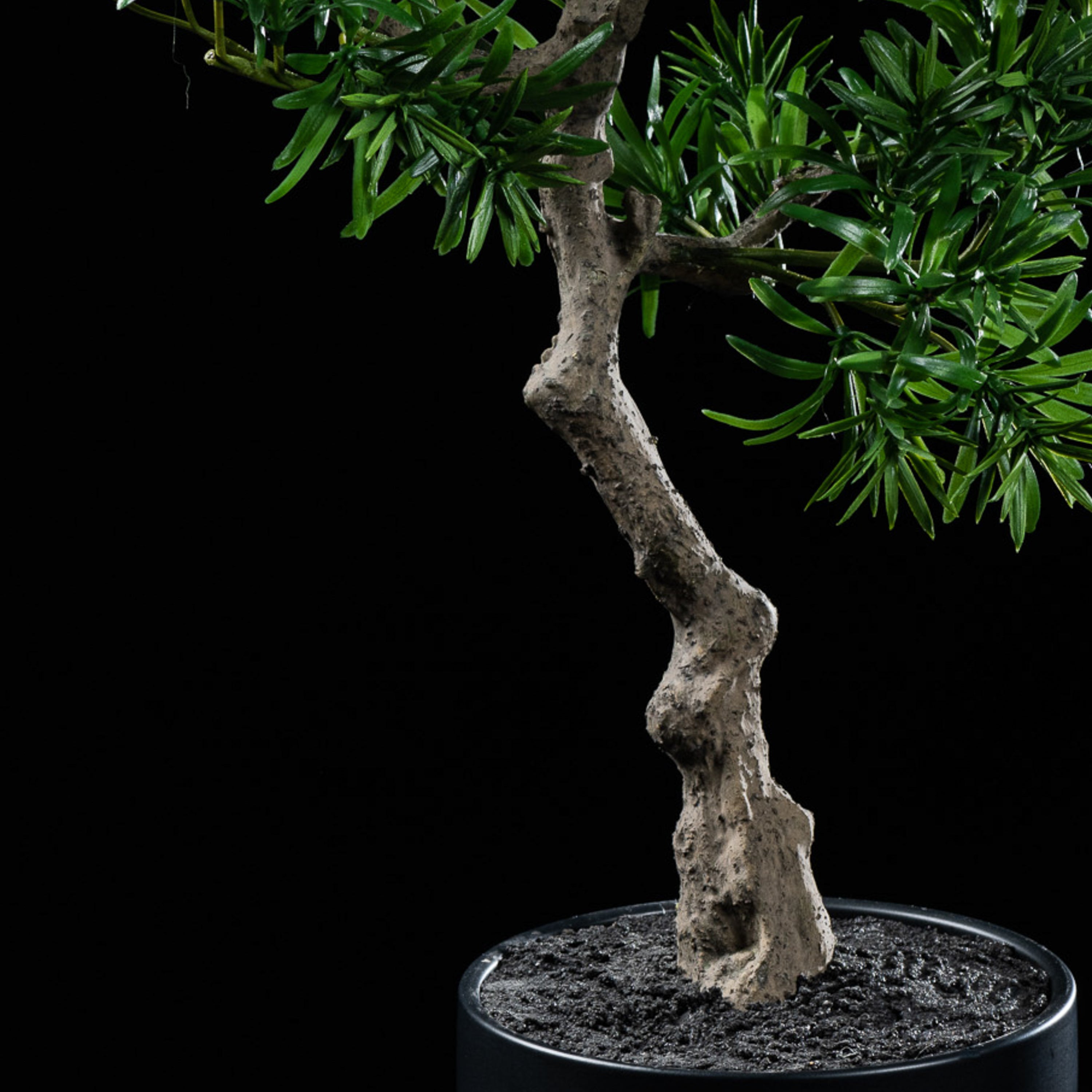 Bonsaï artificiel Podocarpus 50 cm — gros plan, qualité premium réaliste