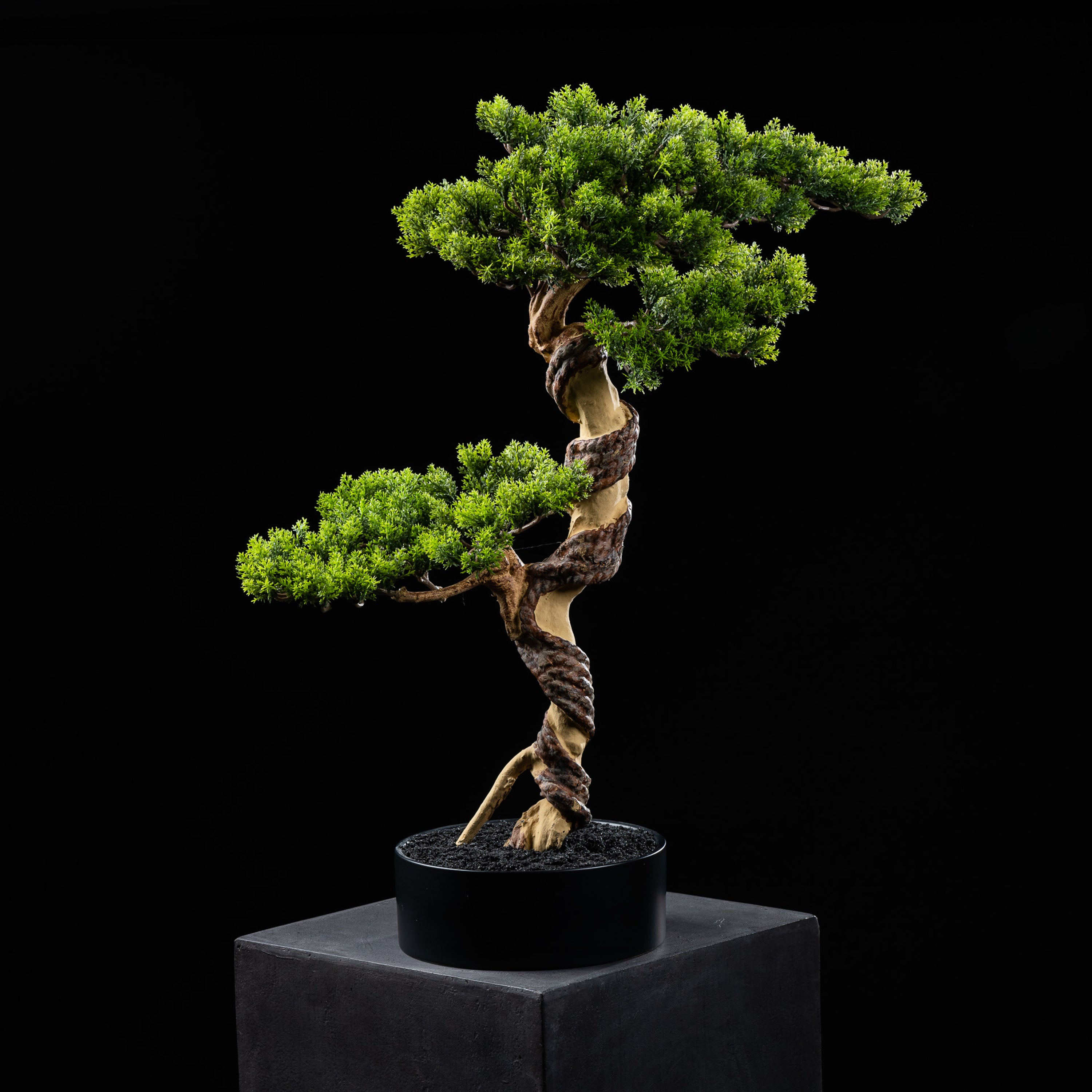 Bonsaï artificiel Thuya 70 cm — visuel produit, sans entretien pour intérieur