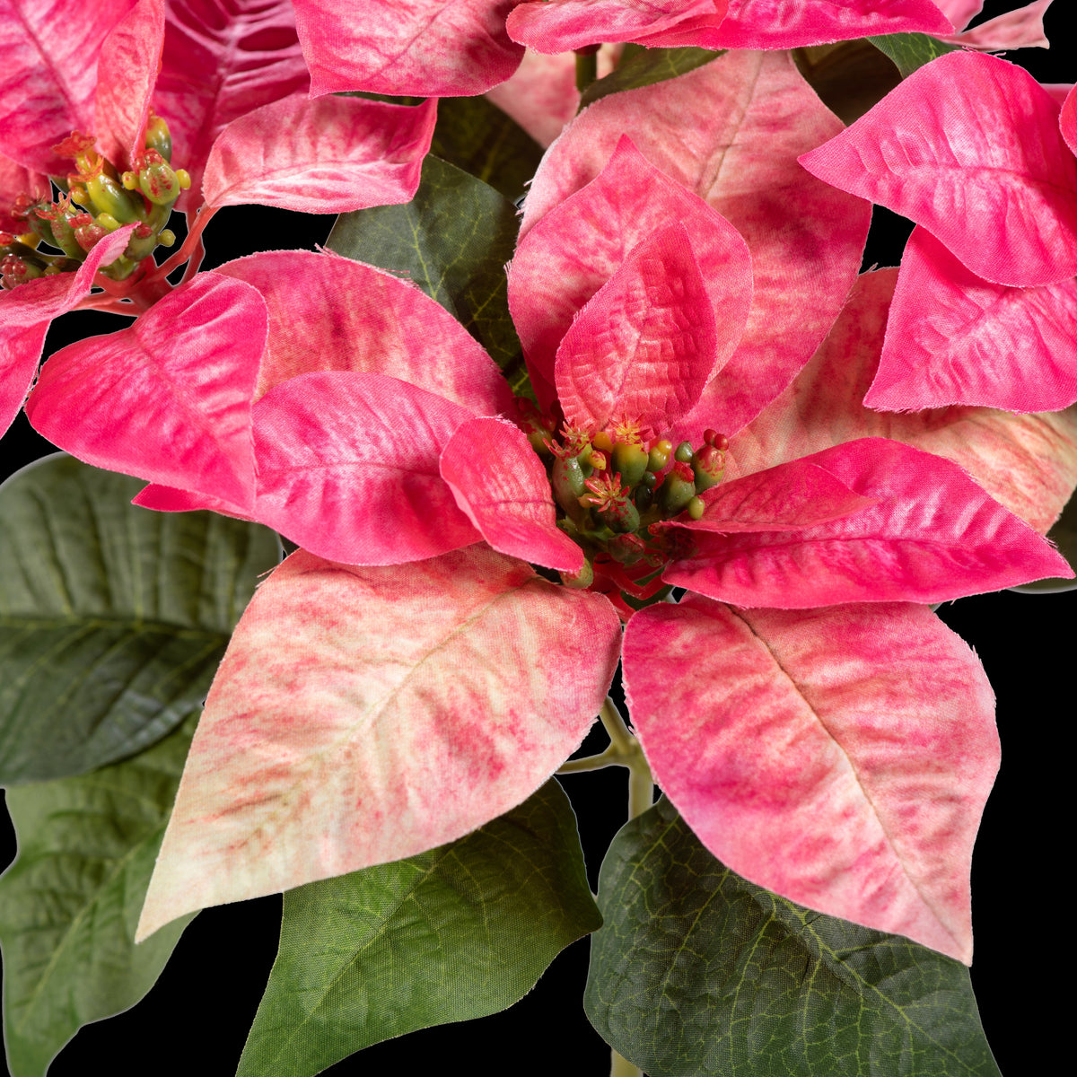 Bouquet d’étoiles de Noël artificielles rose et crème 32 cm, détail d’une fleur rose marbrée de crème