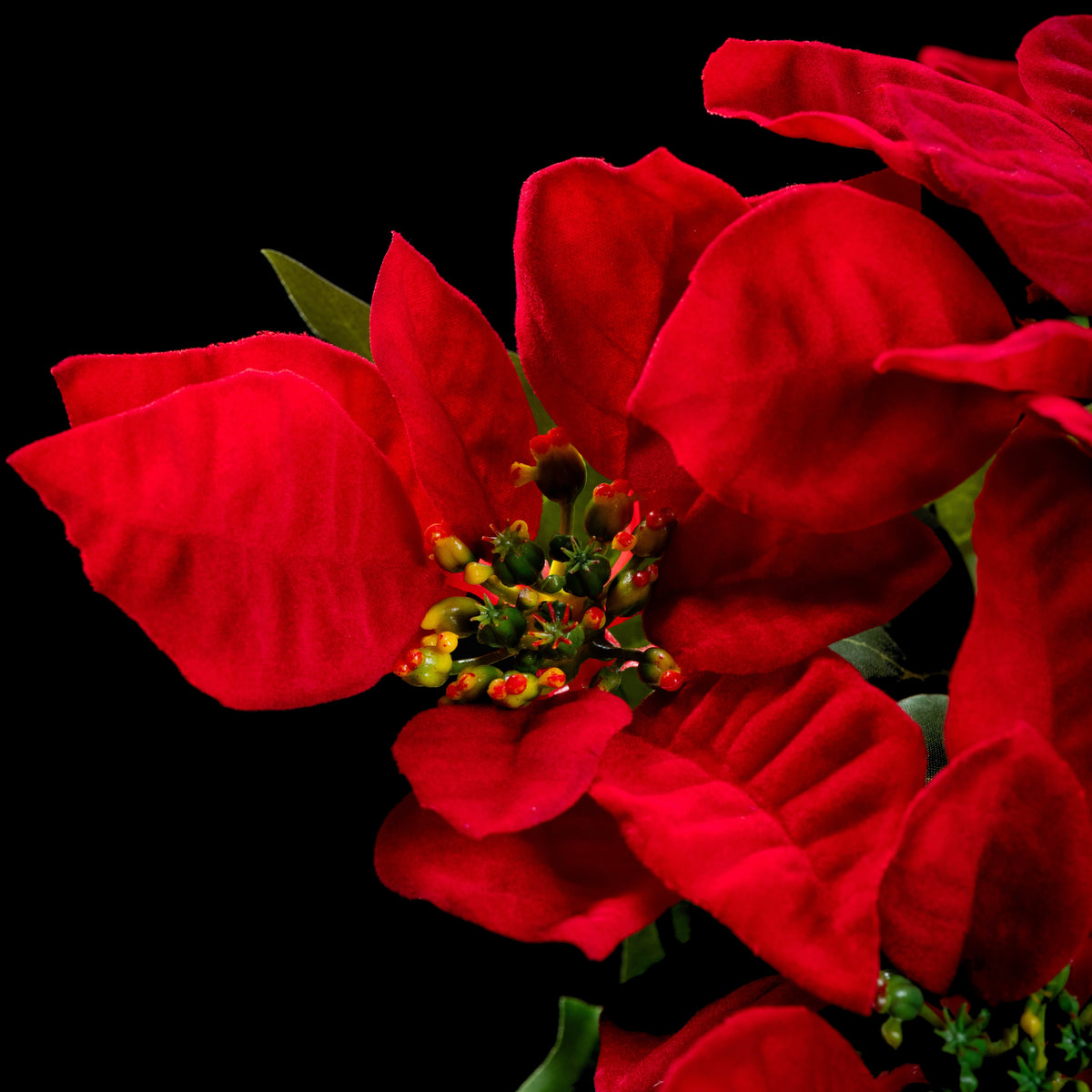 Bouquet d’étoiles de Noël artificielles rouges 30 cm, détail d’une fleur rouge et de son cœur
