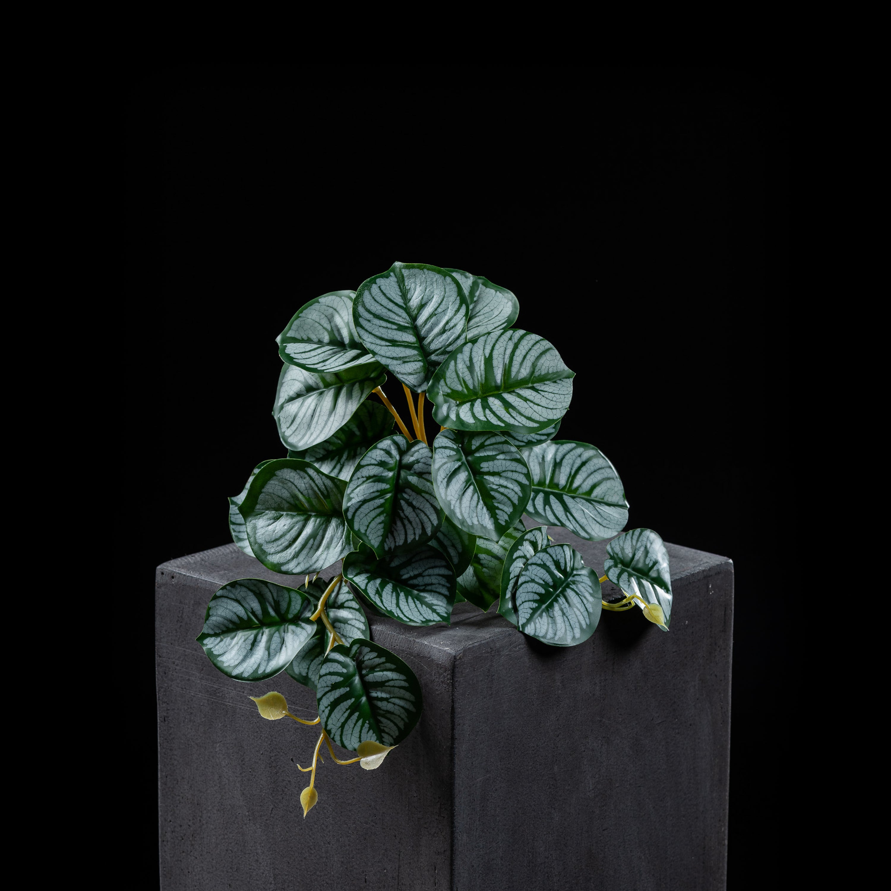 Feuillage retombant artificiel Calathéa 18 cm Galan GA — visuel produit, sans entretien pour intérieur