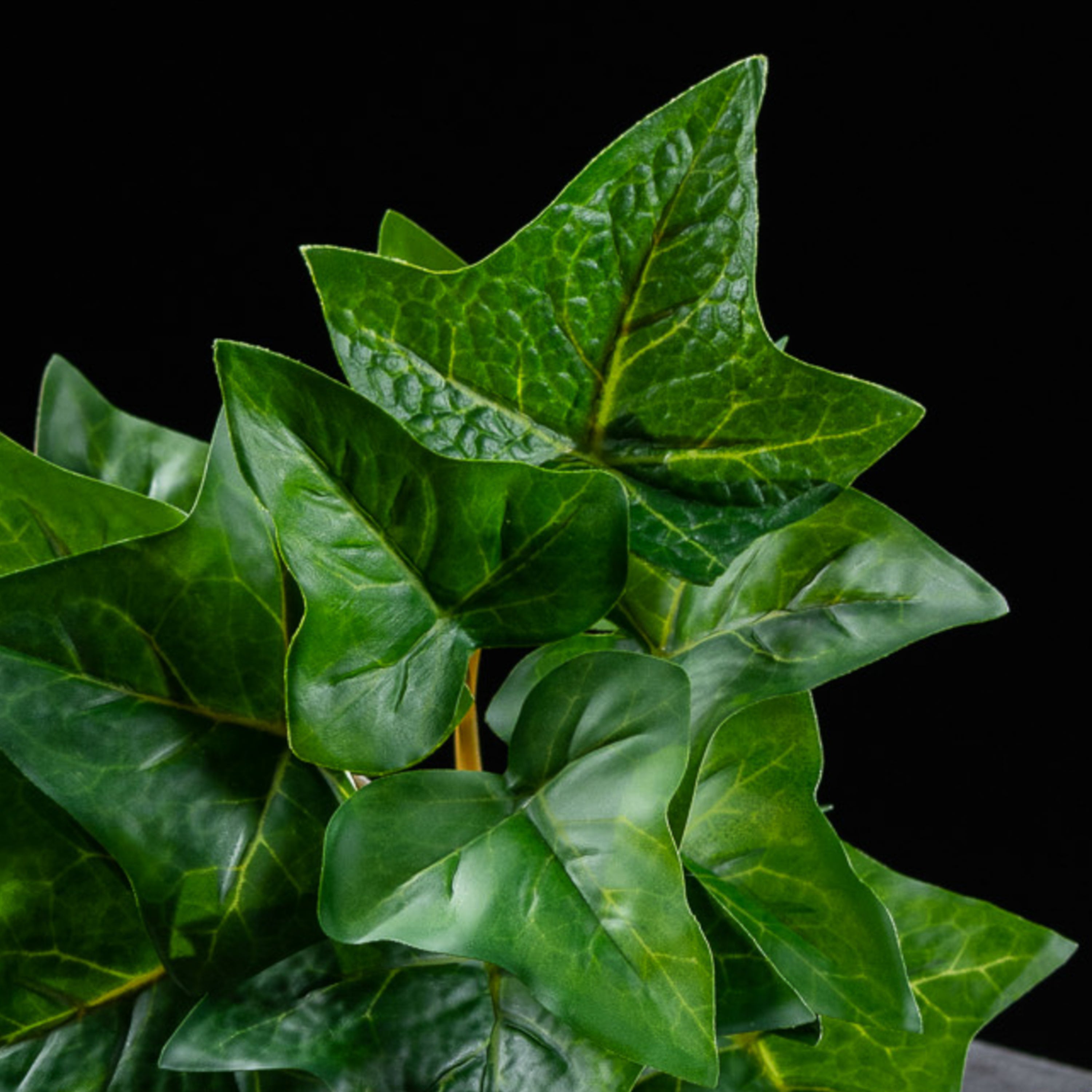 Feuillage retombant artificiel Hedera 18 cm Galan GA — détail feuillage réaliste, sans entretien