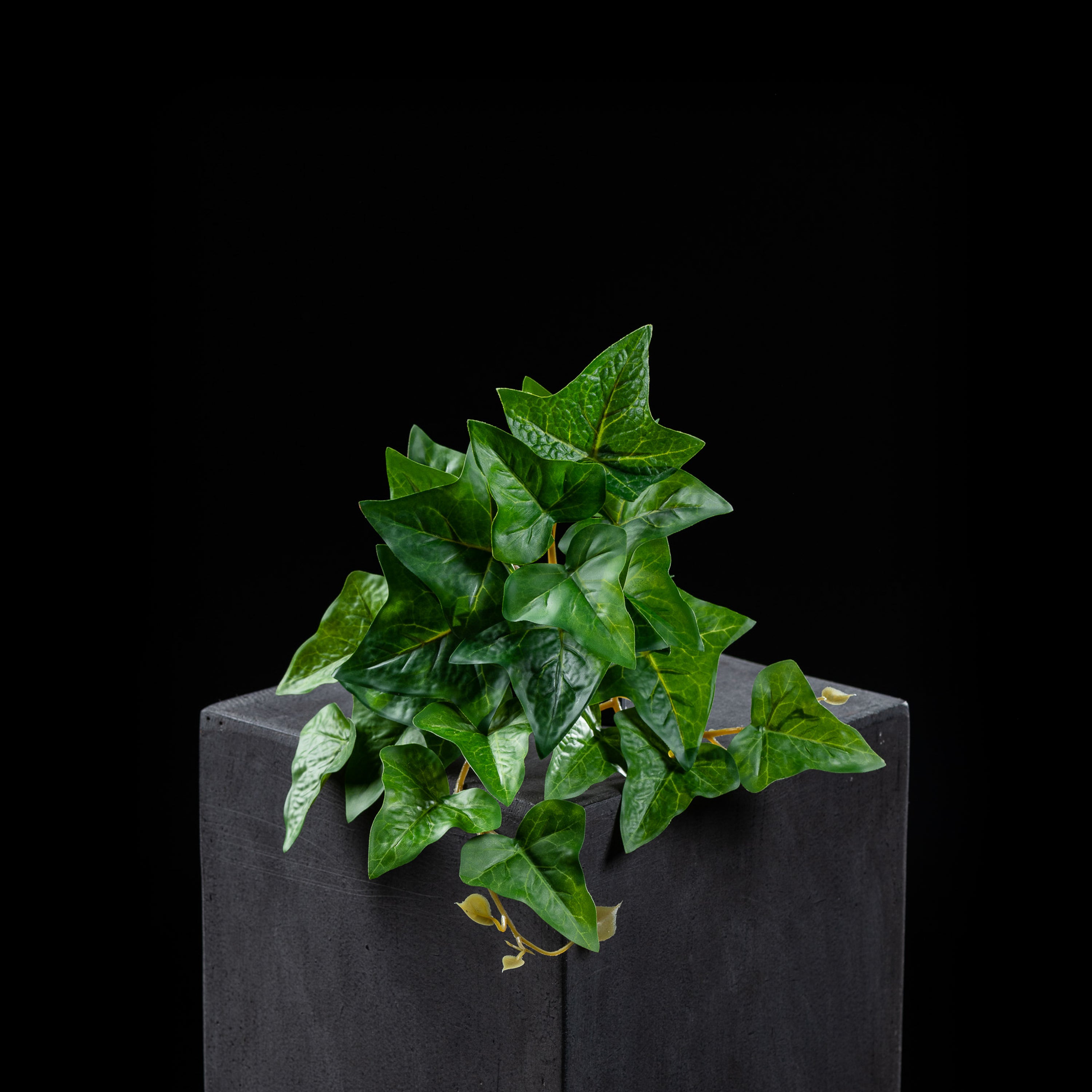 Feuillage retombant artificiel Hedera 18 cm Galan GA — visuel produit, sans entretien pour intérieur