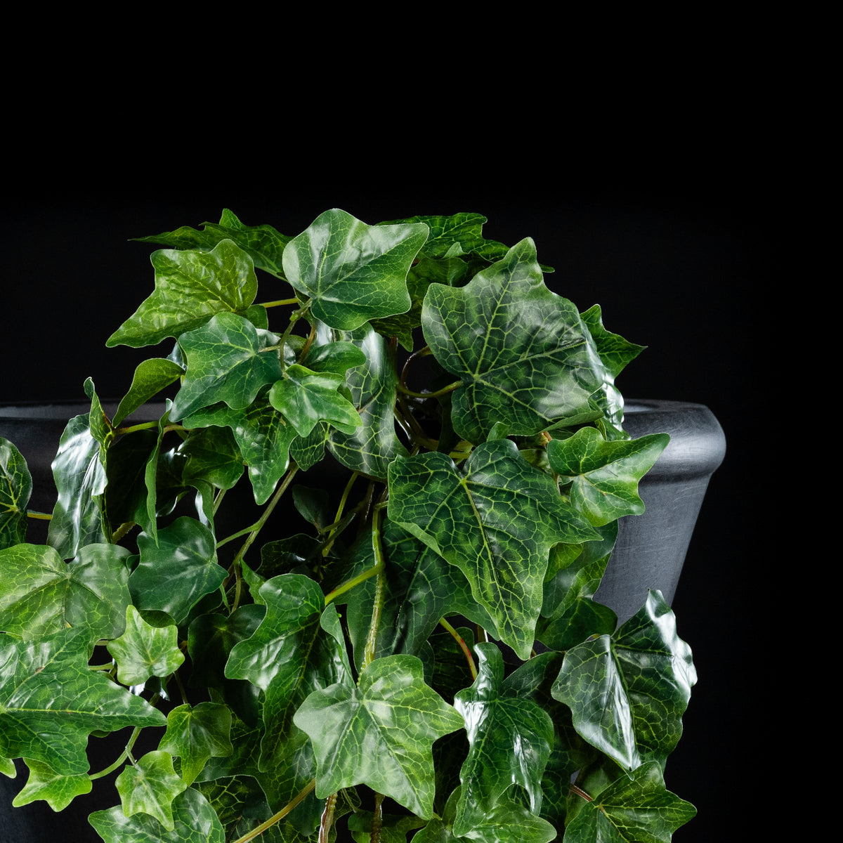 Feuillage retombant artificiel Hedera 60 cm Galan GA — gros plan, qualité premium réaliste