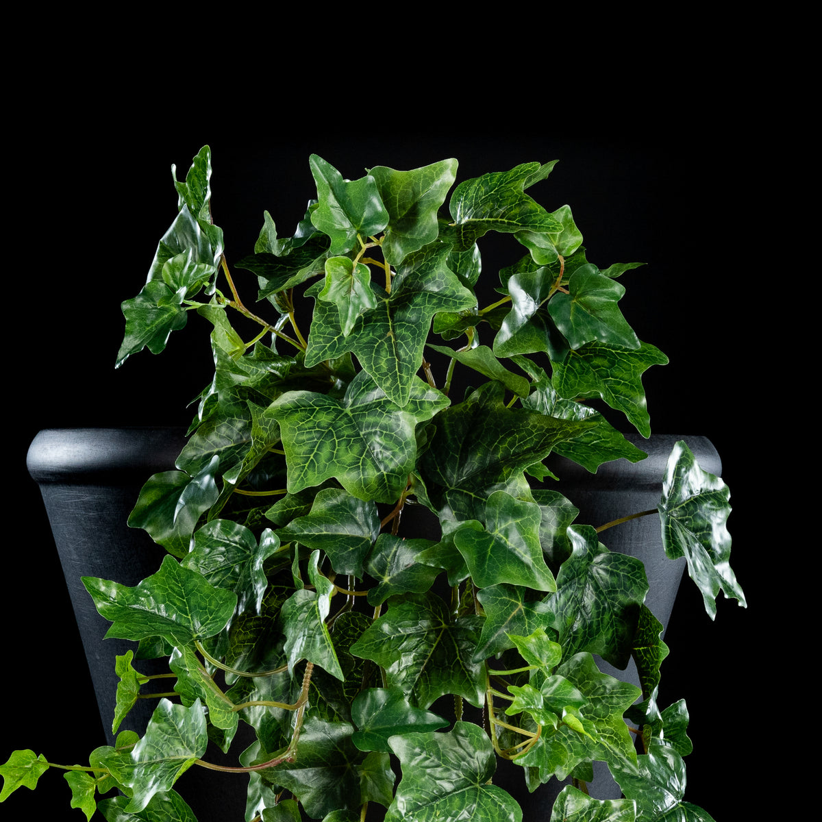 Feuillage retombant artificiel Hedera 100 cm Galan GA — gros plan, qualité premium réaliste