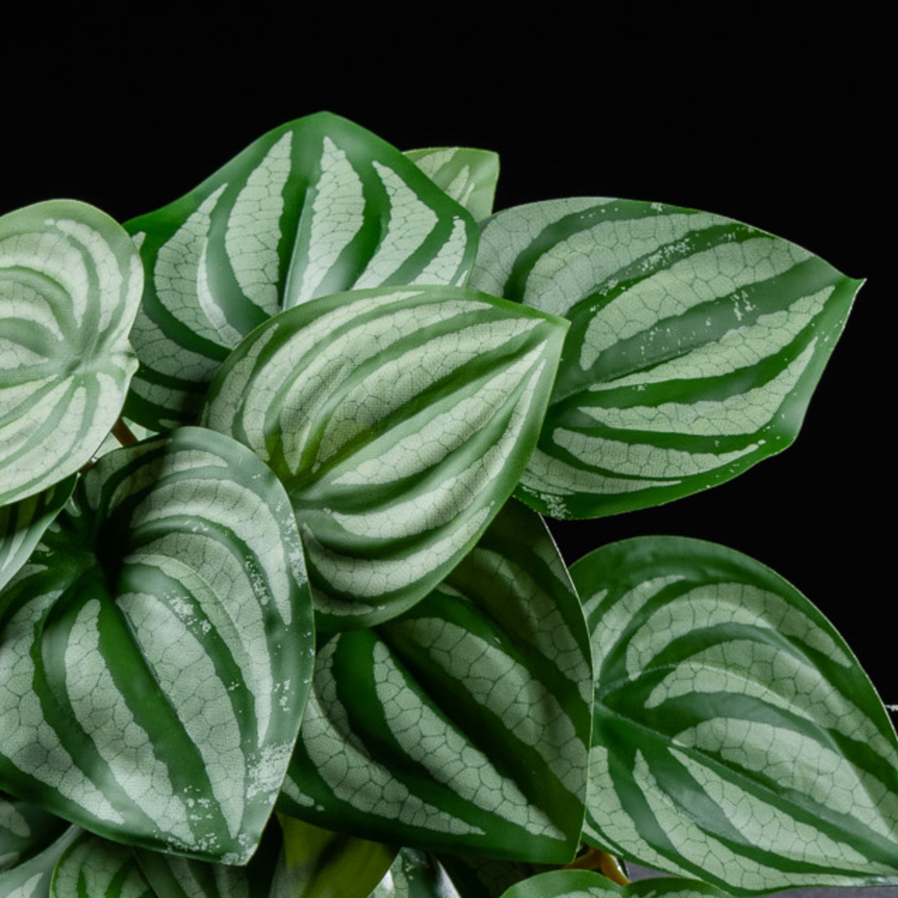 Feuillage retombant artificiel Peperomia 18 cm Galan GA — détail feuillage réaliste, sans entretien