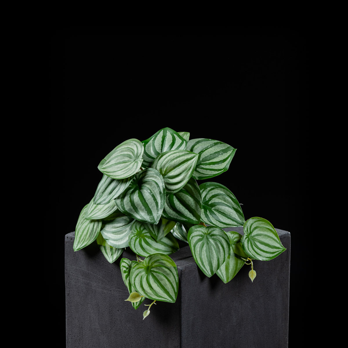 Feuillage retombant artificiel Peperomia 18 cm Galan GA — visuel produit, sans entretien pour intérieur