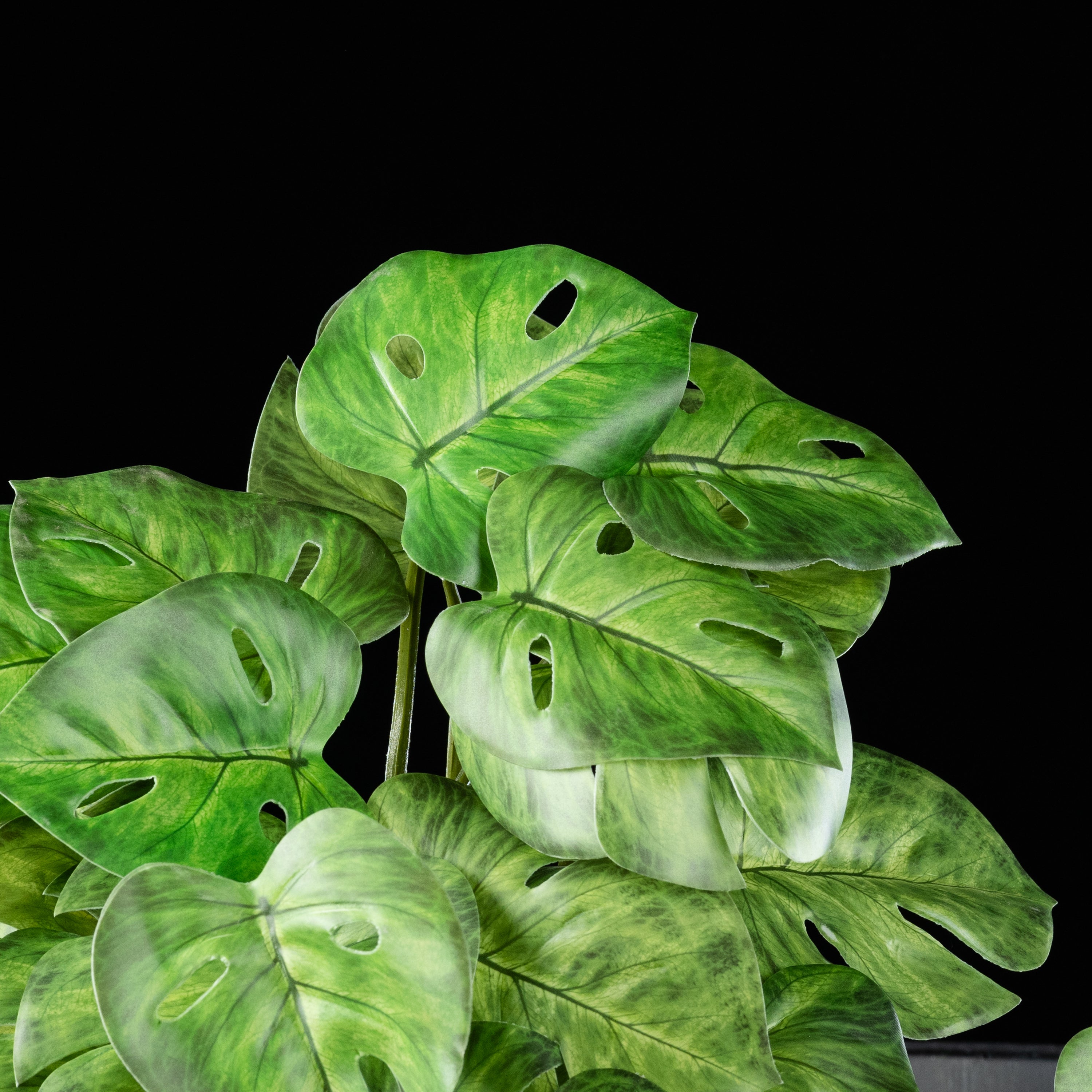 Feuillage retombant artificiel Philodendron 22 cm Galan GA — gros plan, qualité premium réaliste