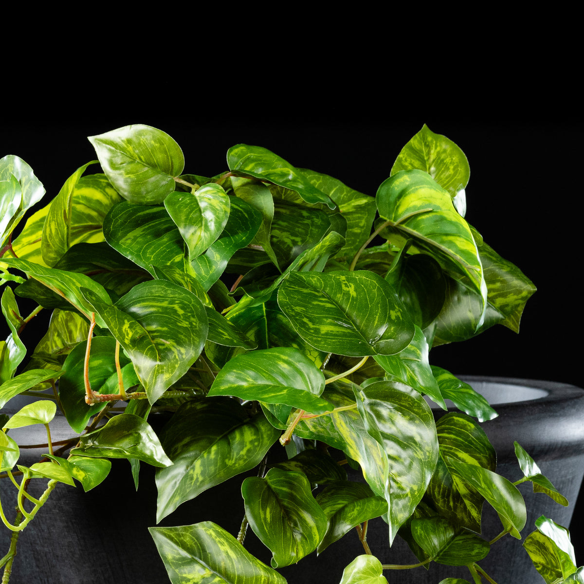 Feuillage retombant artificiel Pothos 60 cm Galan GA — gros plan, qualité premium réaliste