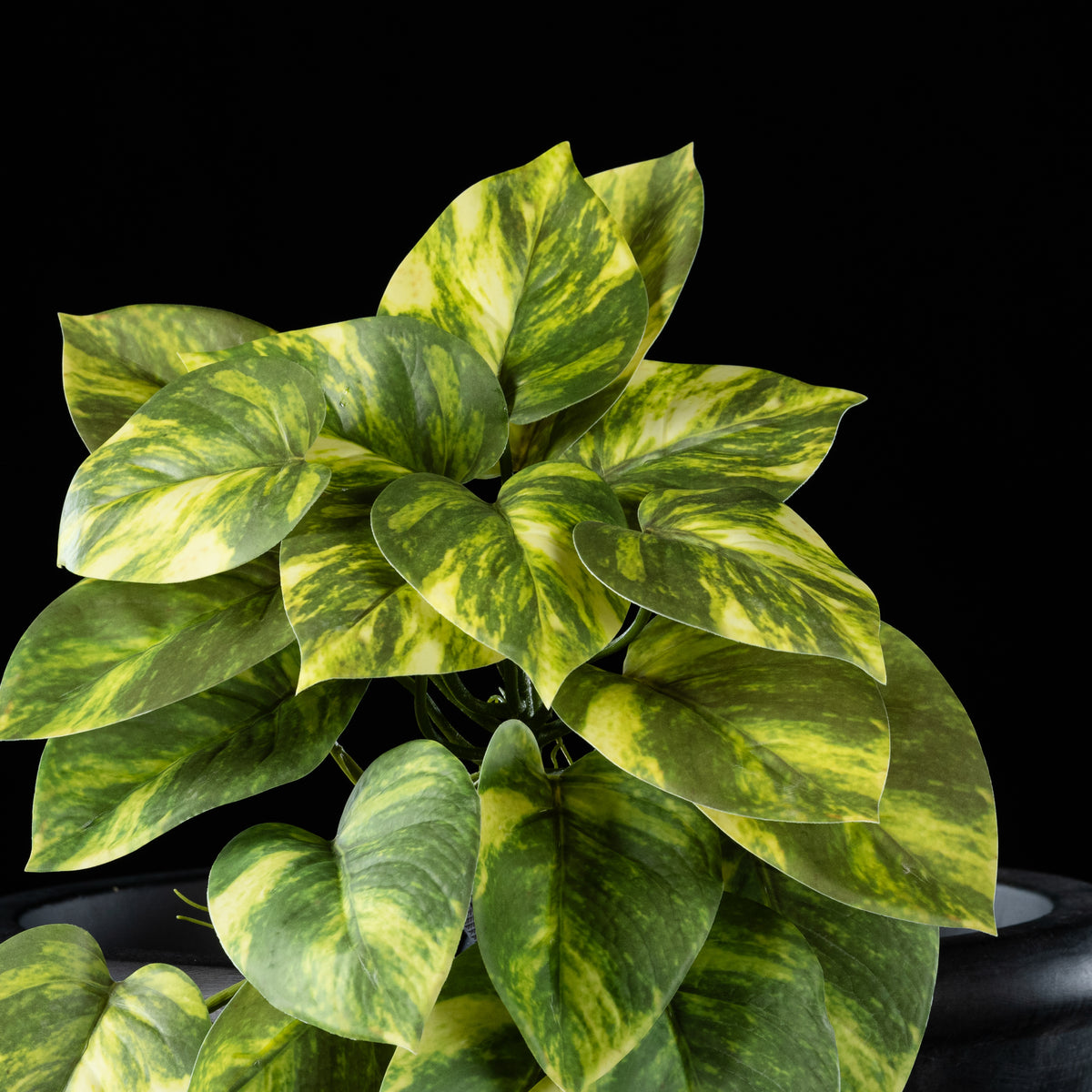 Feuillage retombant artificiel Pothos 22 cm Galan GA — gros plan, qualité premium réaliste