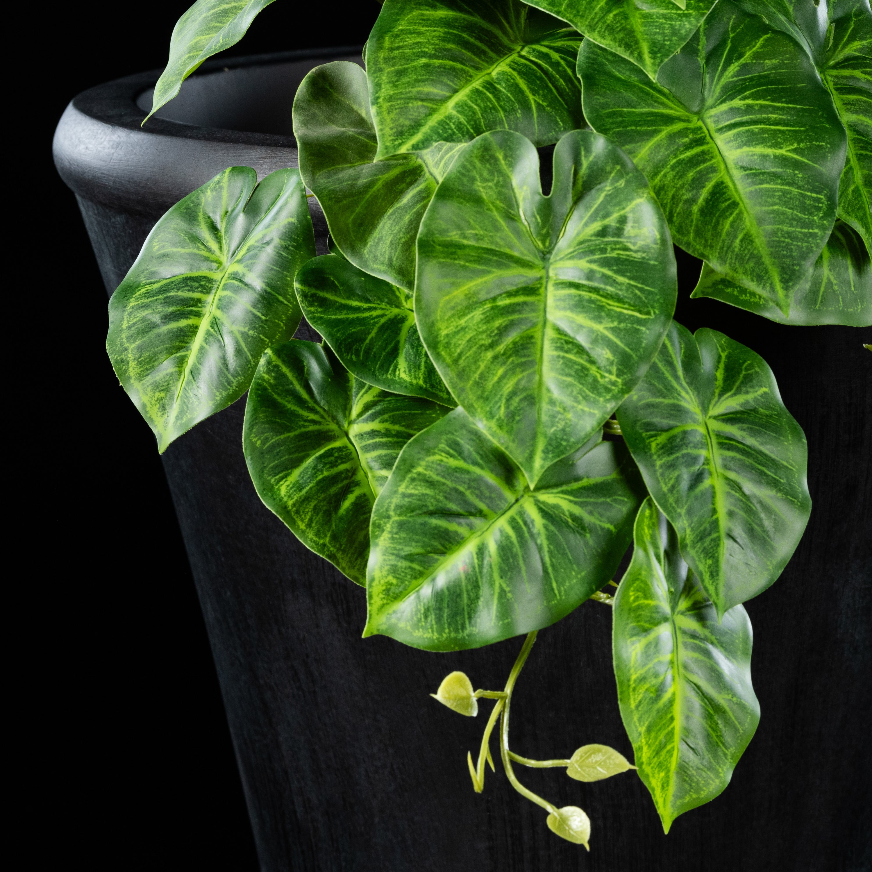 Feuillage retombant artificiel Syngonium 22 cm Galan GA — détail feuillage réaliste, sans entretien