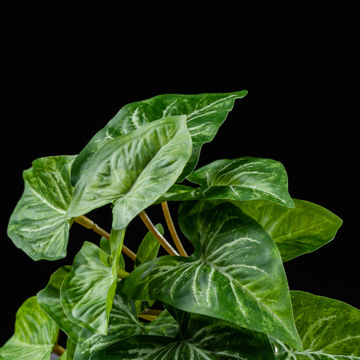 Feuillage retombant artificiel Syngonium 18 cm Galan GA — détail feuillage réaliste, sans entretien