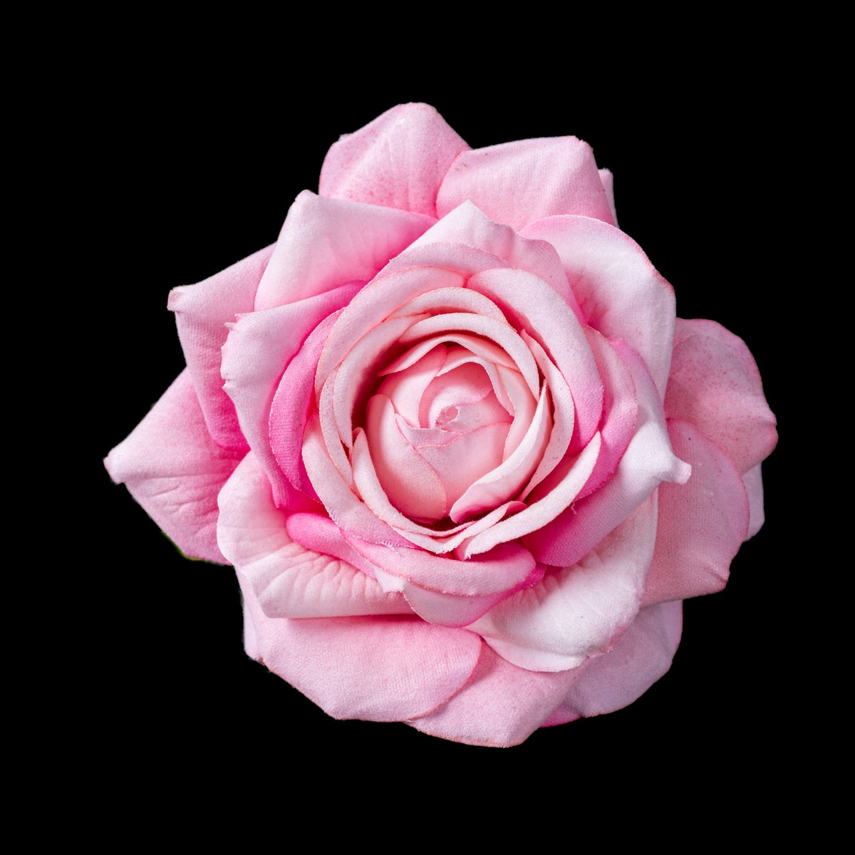 Clip de rose artificielle en velours rose 5 cm, fleur ouverte vue de face