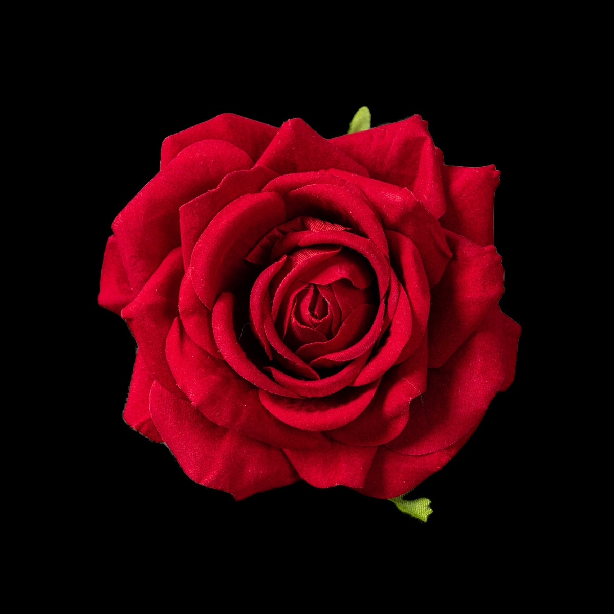Clip de rose artificielle en velours rouge 5 cm, fleur ouverte vue de face