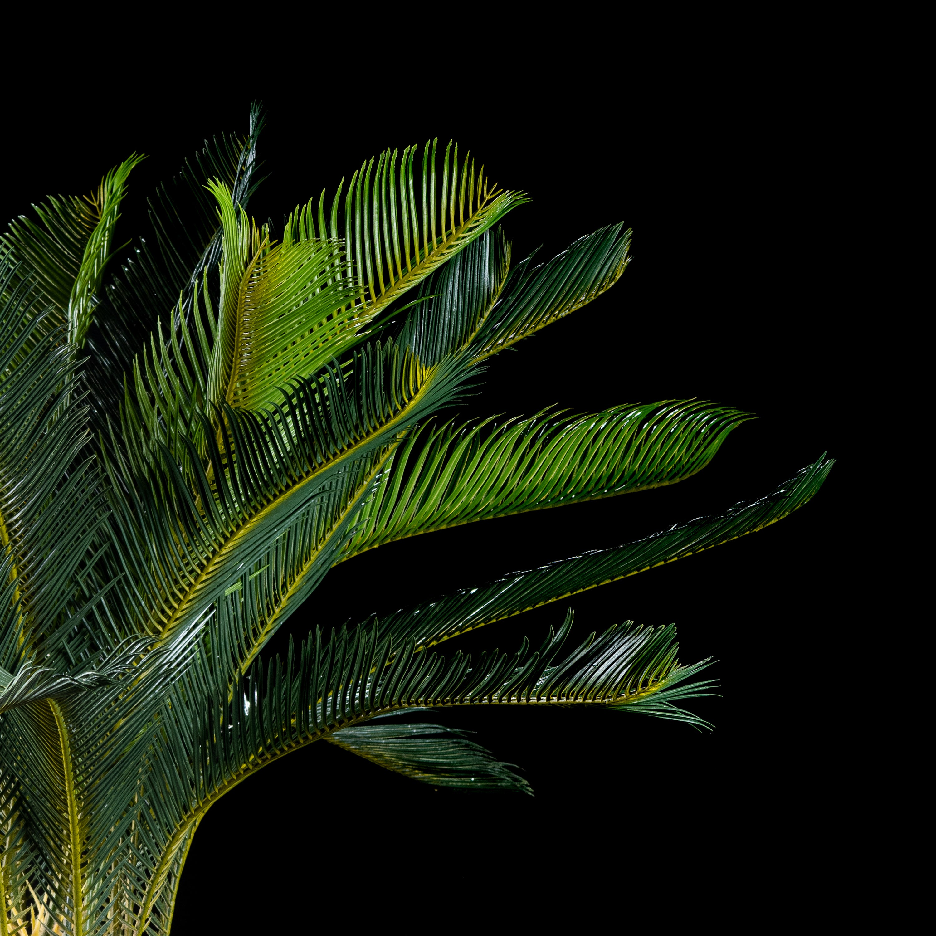 Cycas artificiel du Japon 110 cm Galan GA — déco intérieur réaliste sans entretien
