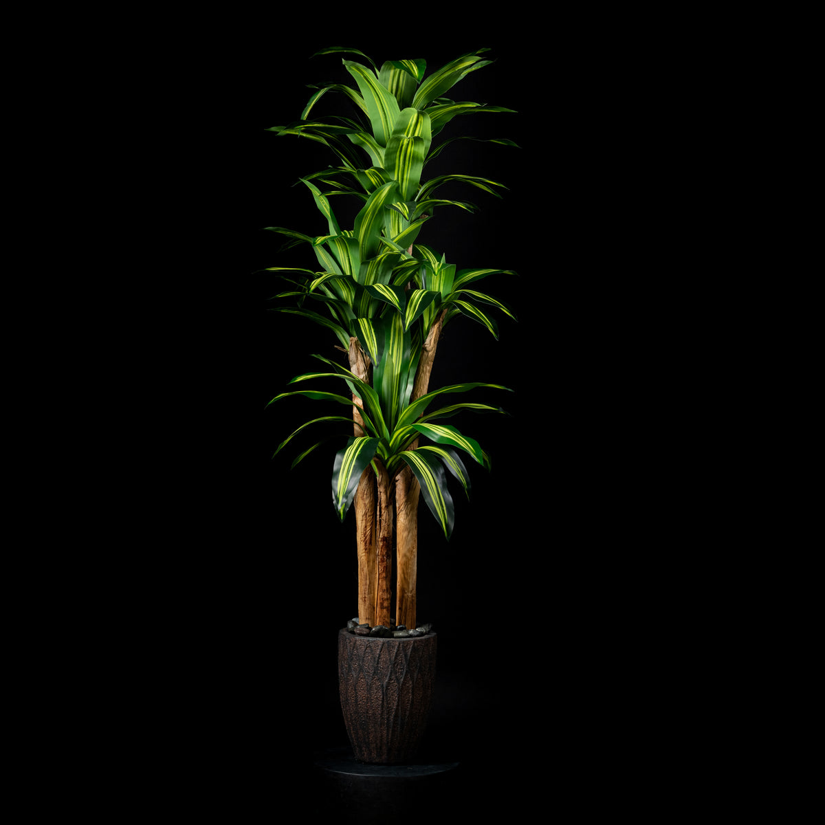 Plante artificielle Dracaena Massangeana 180 cm — visuel produit, sans entretien pour intérieur