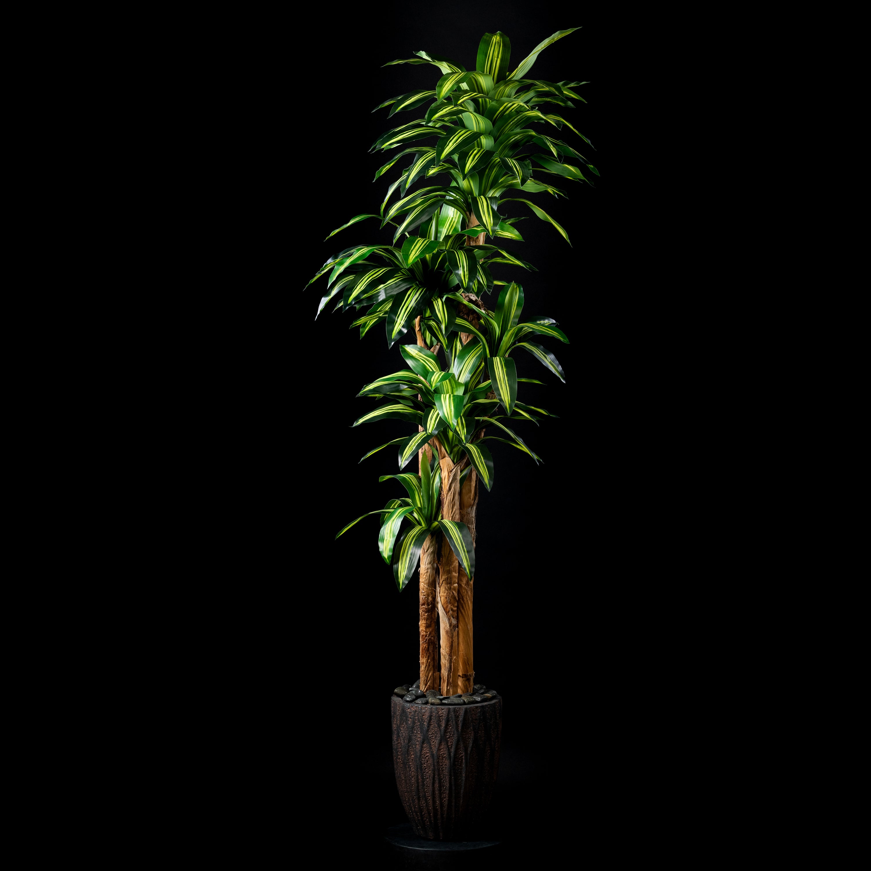 Plante artificielle Dracaena Massangeana 240 cm — visuel produit, sans entretien pour intérieur
