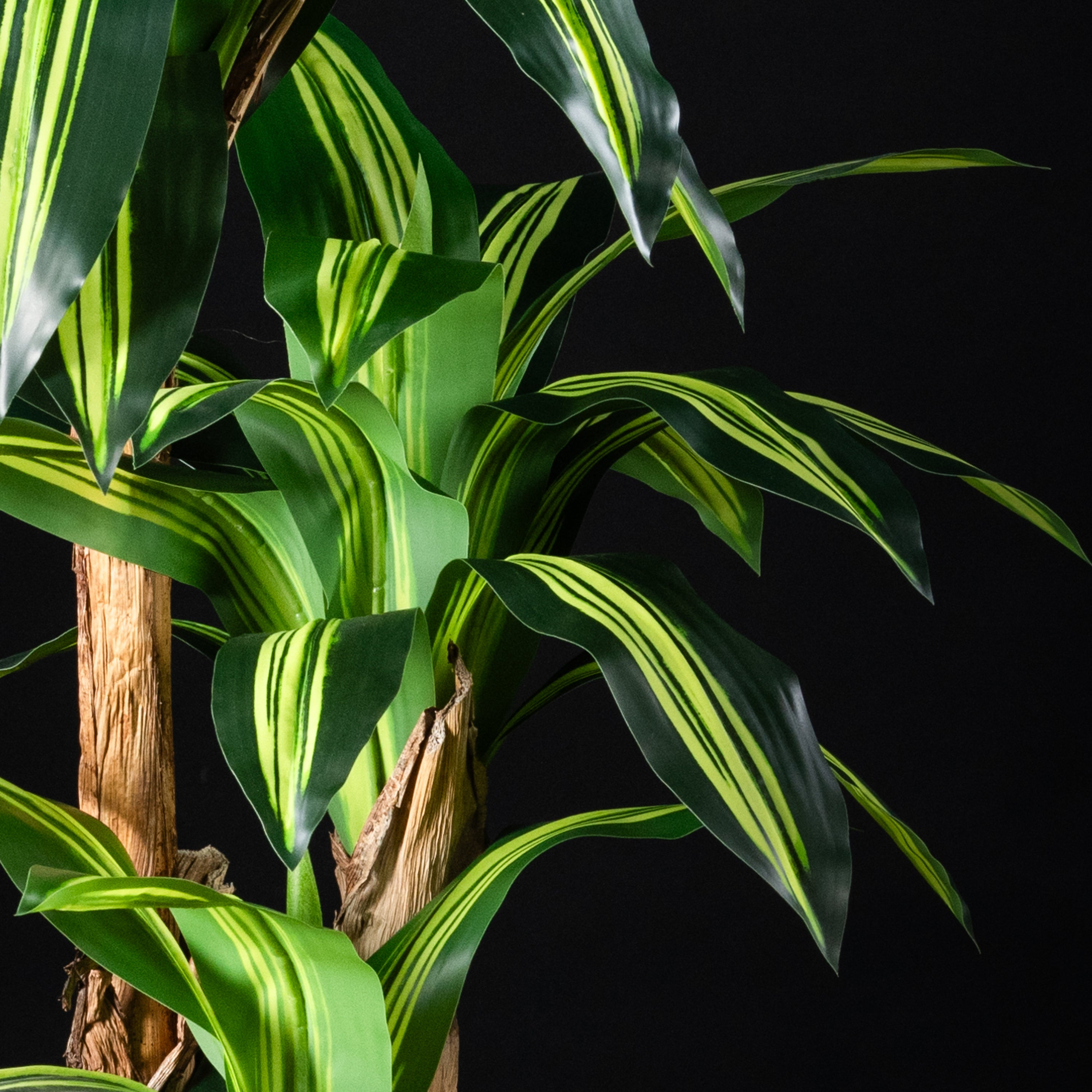 Plante artificielle Dracaena Massangeana 140 cm — gros plan, qualité premium réaliste