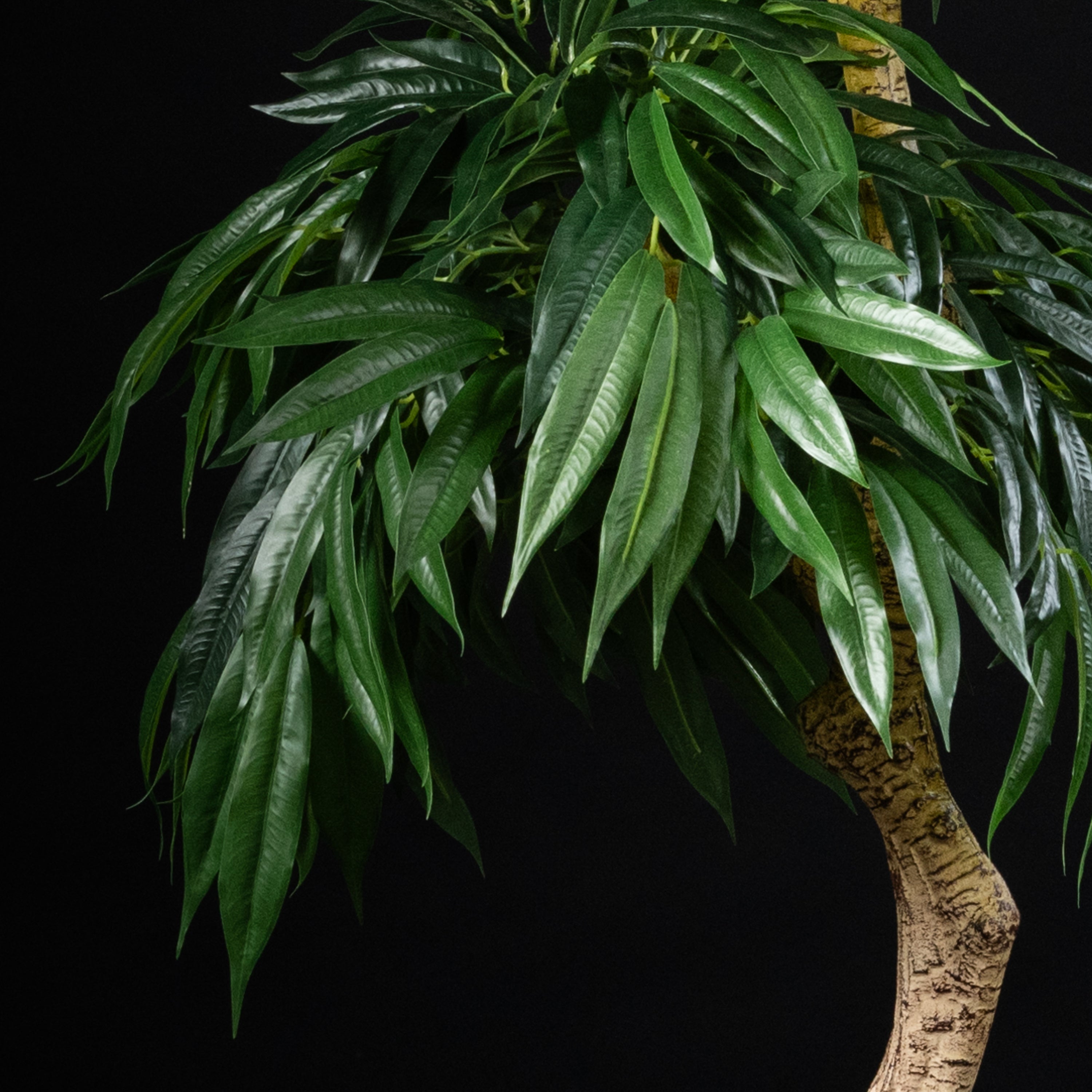 Plante artificielle Ficus Amstel 70 cm — vue alternative, plante d&
