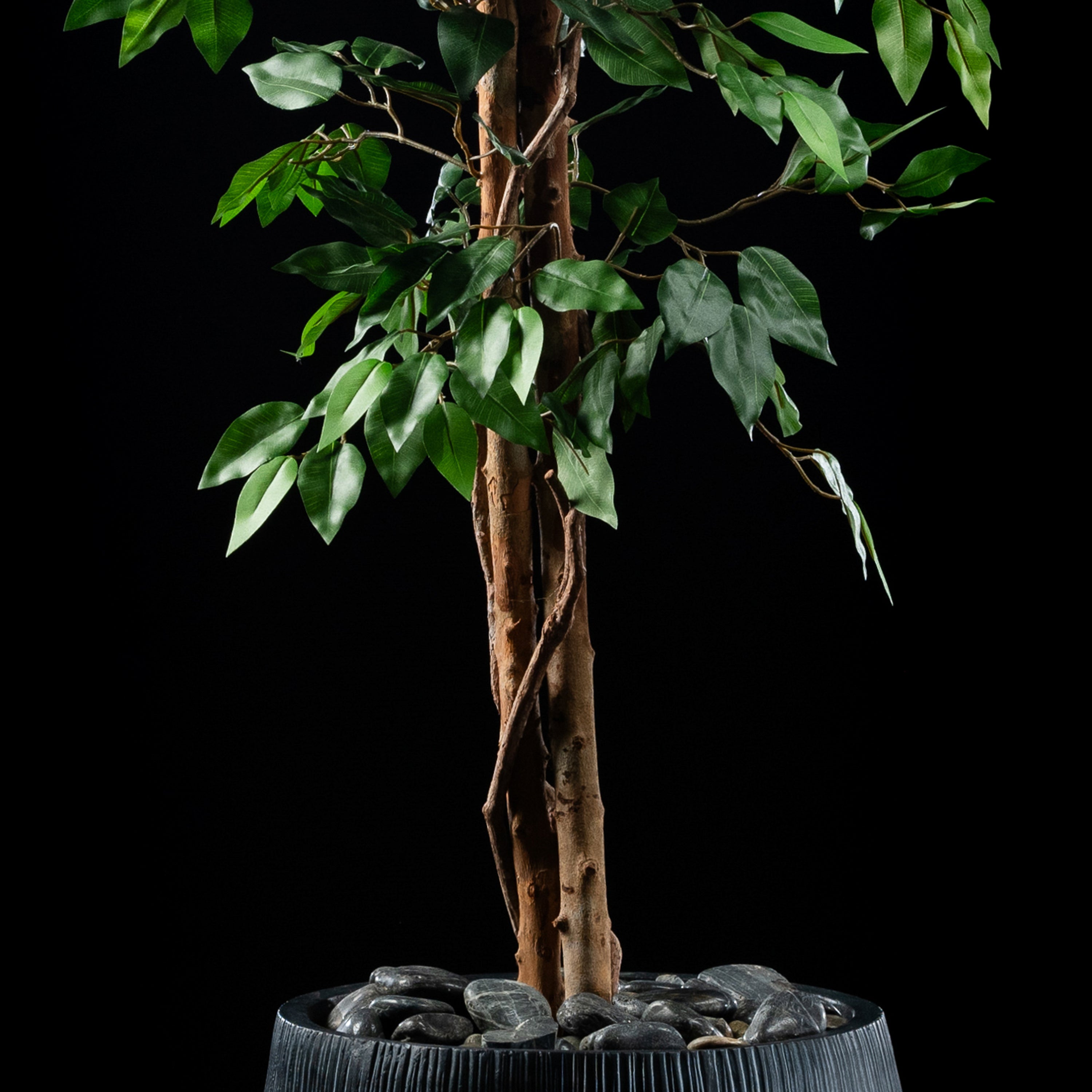 Plante artificielle Ficus Benjamina 180 cm — détail feuillage réaliste, sans entretien