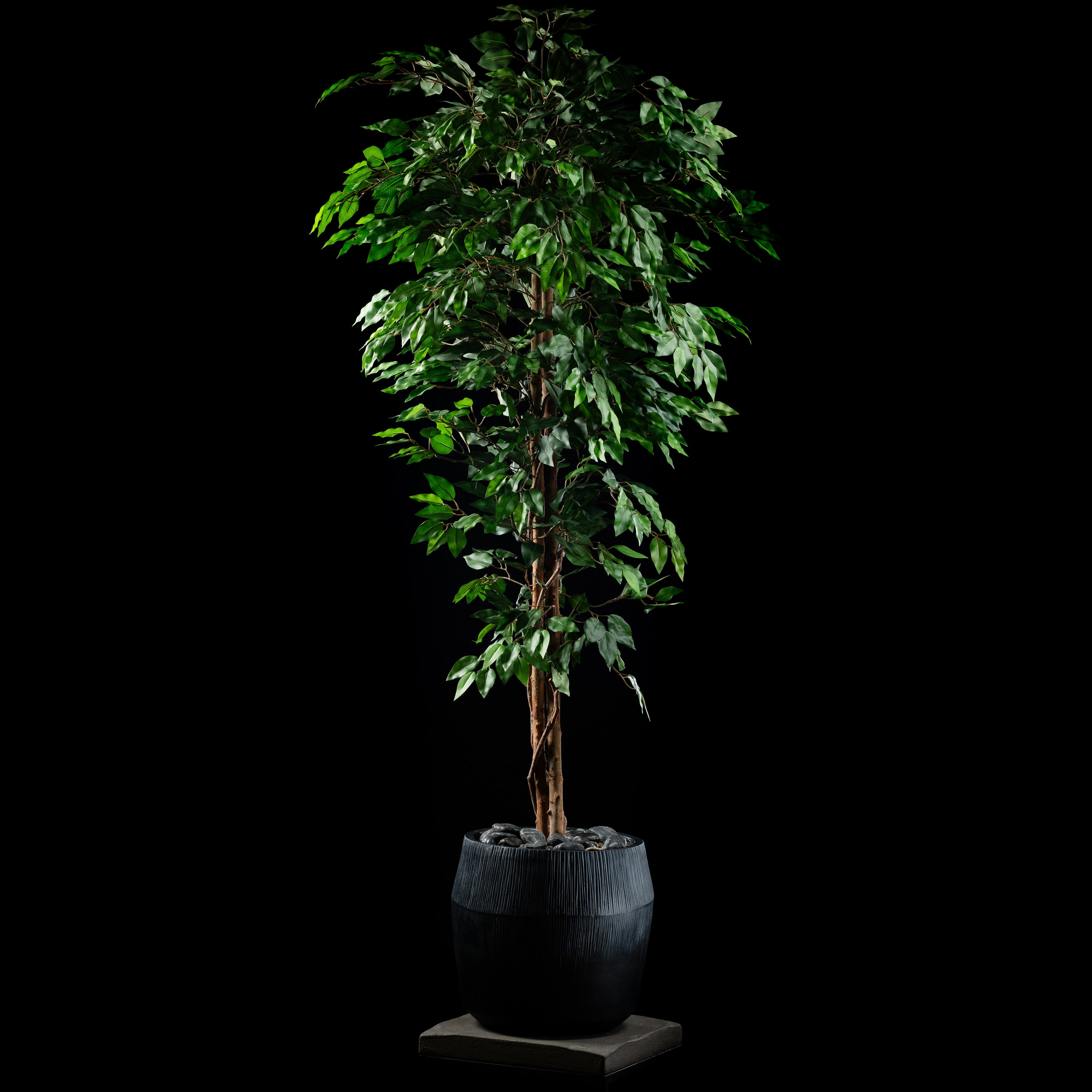 Plante artificielle Ficus Benjamina 180 cm — visuel produit, sans entretien pour intérieur
