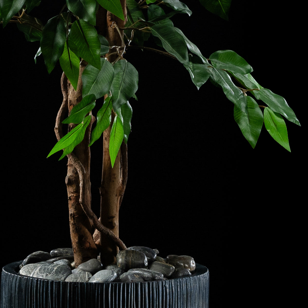 Plante artificielle Ficus Benjamina 150 cm Galan GA — déco intérieur réaliste sans entretien