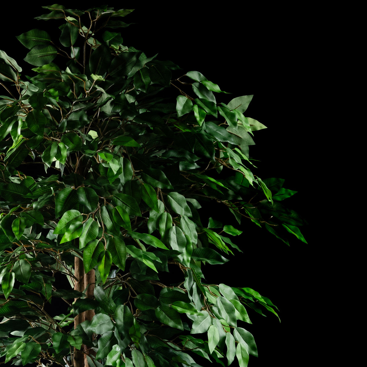 Plante artificielle Ficus Benjamina 180 cm Galan GA — déco intérieur réaliste sans entretien