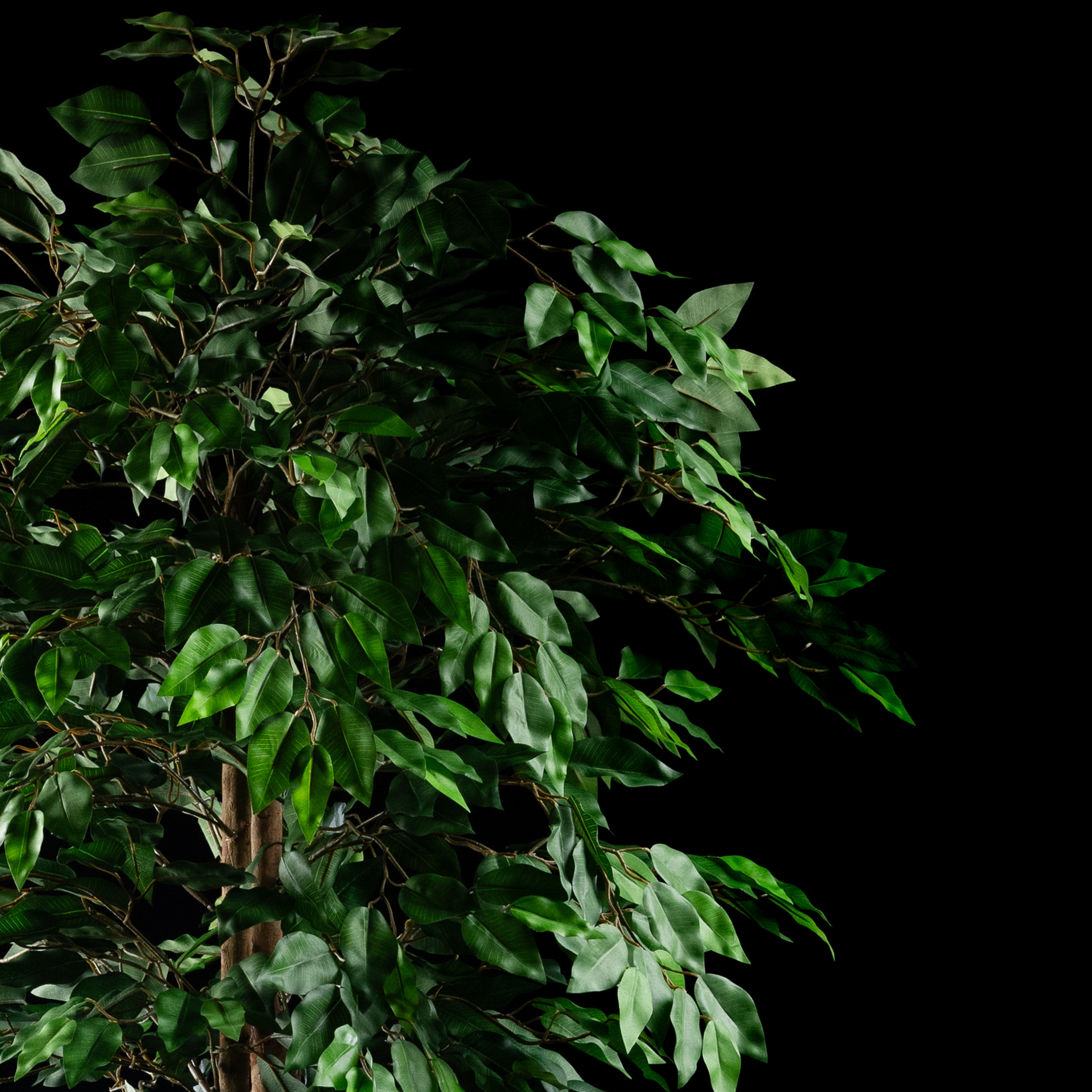 Plante artificielle Ficus Benjamina 180 cm Galan GA — déco intérieur réaliste sans entretien