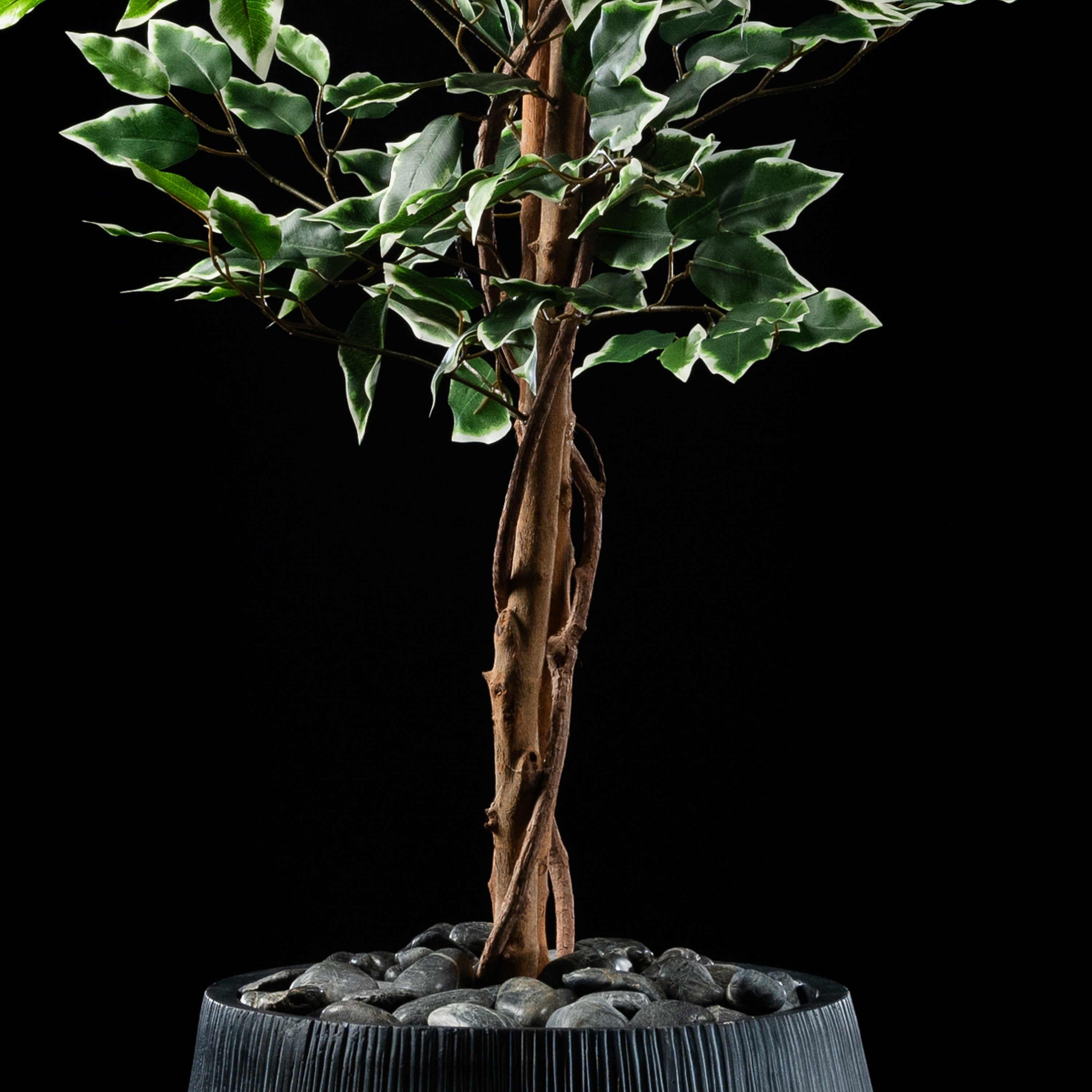 Plante artificielle Ficus Benjamina 180 cm — vue alternative, plante d&
