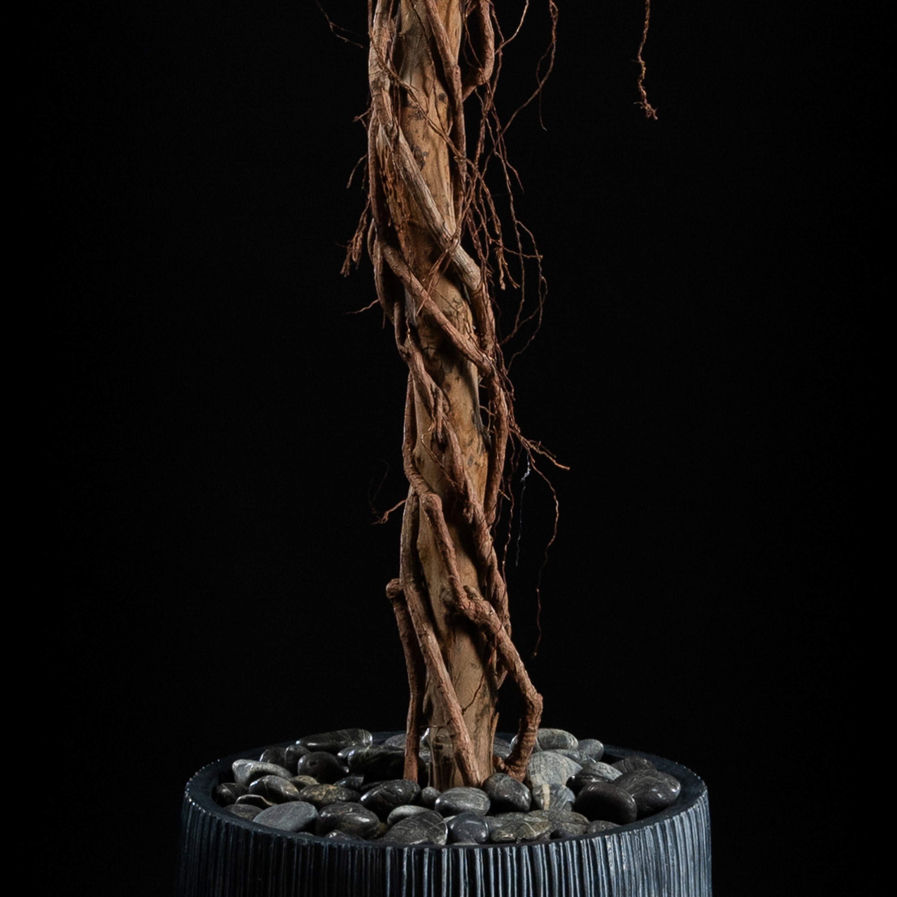 Plante artificielle Ficus Benjamina 240 cm — gros plan, qualité premium réaliste