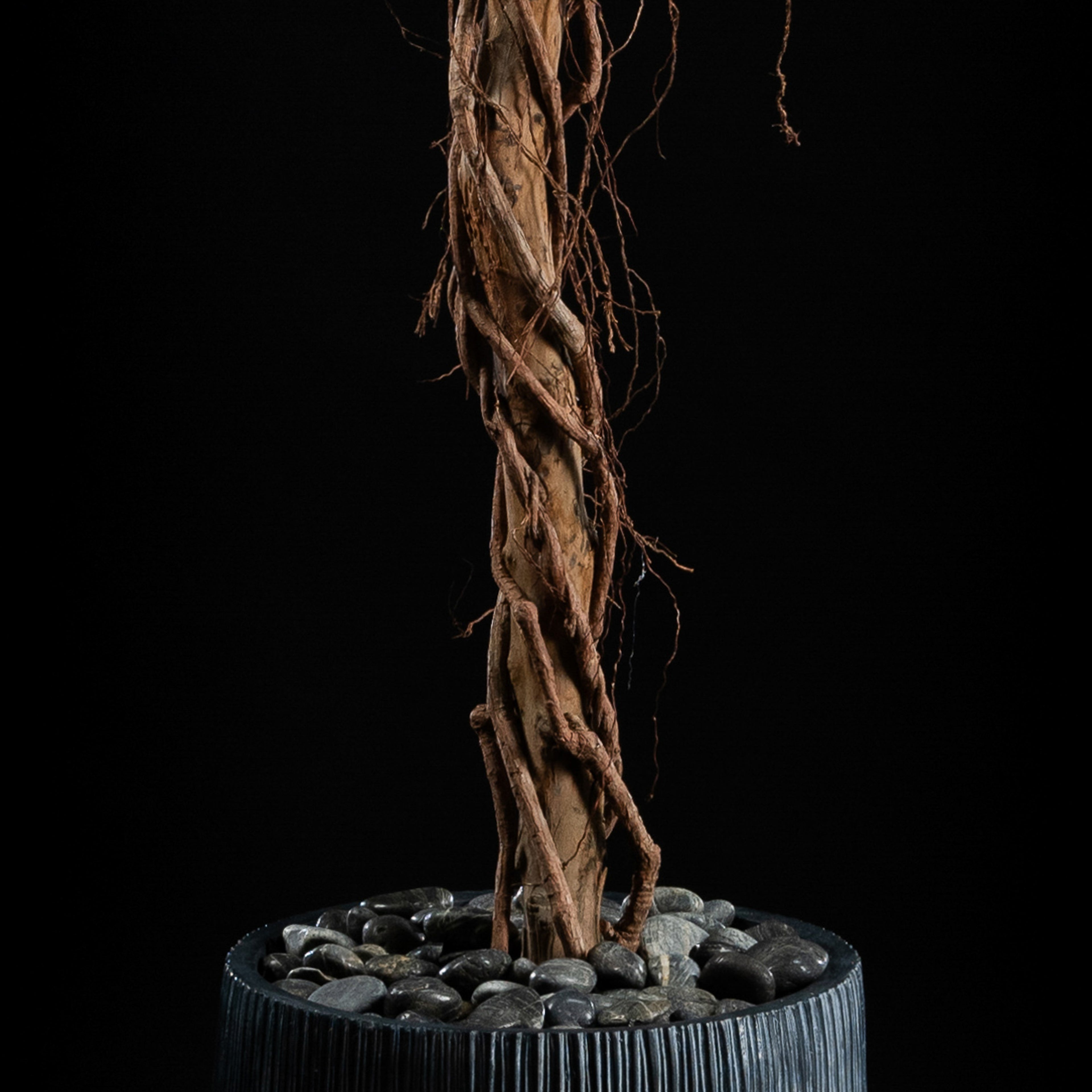Plante artificielle Ficus Benjamina 240 cm — gros plan, qualité premium réaliste