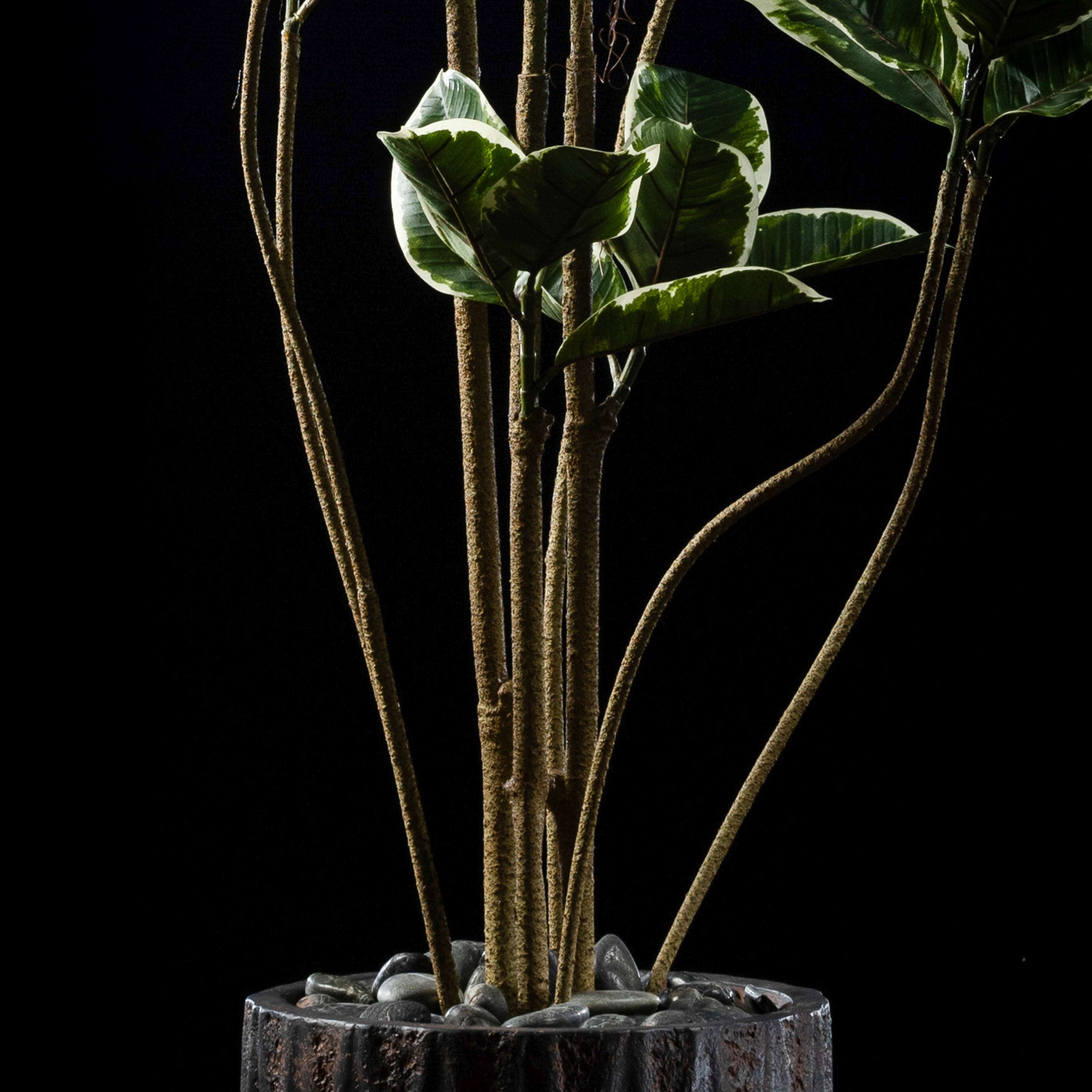 Plante artificielle Ficus Tineke 180 cm — gros plan, qualité premium réaliste