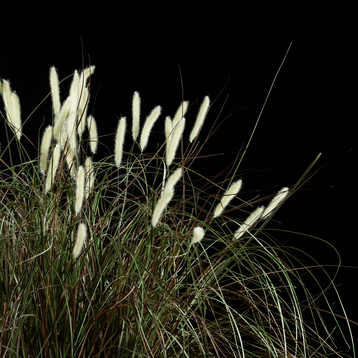 Graminée artificielle Pennisetum 100 cm — détail feuillage réaliste, sans entretien