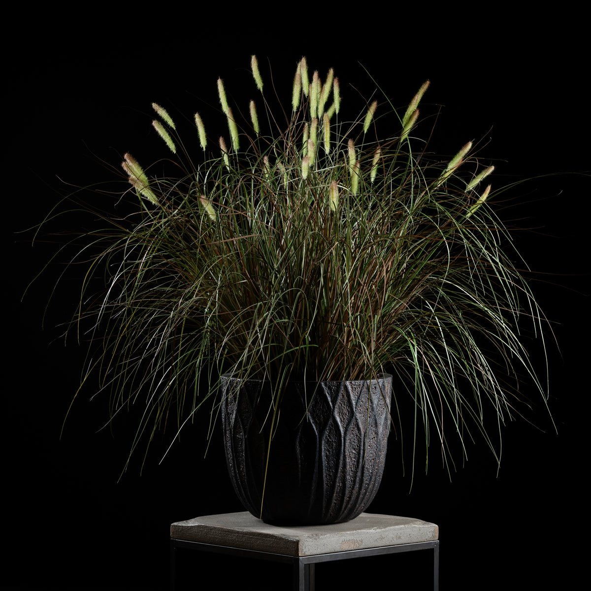 Graminée artificielle Pennisetum 100 cm Galan GA — déco intérieur réaliste sans entretien