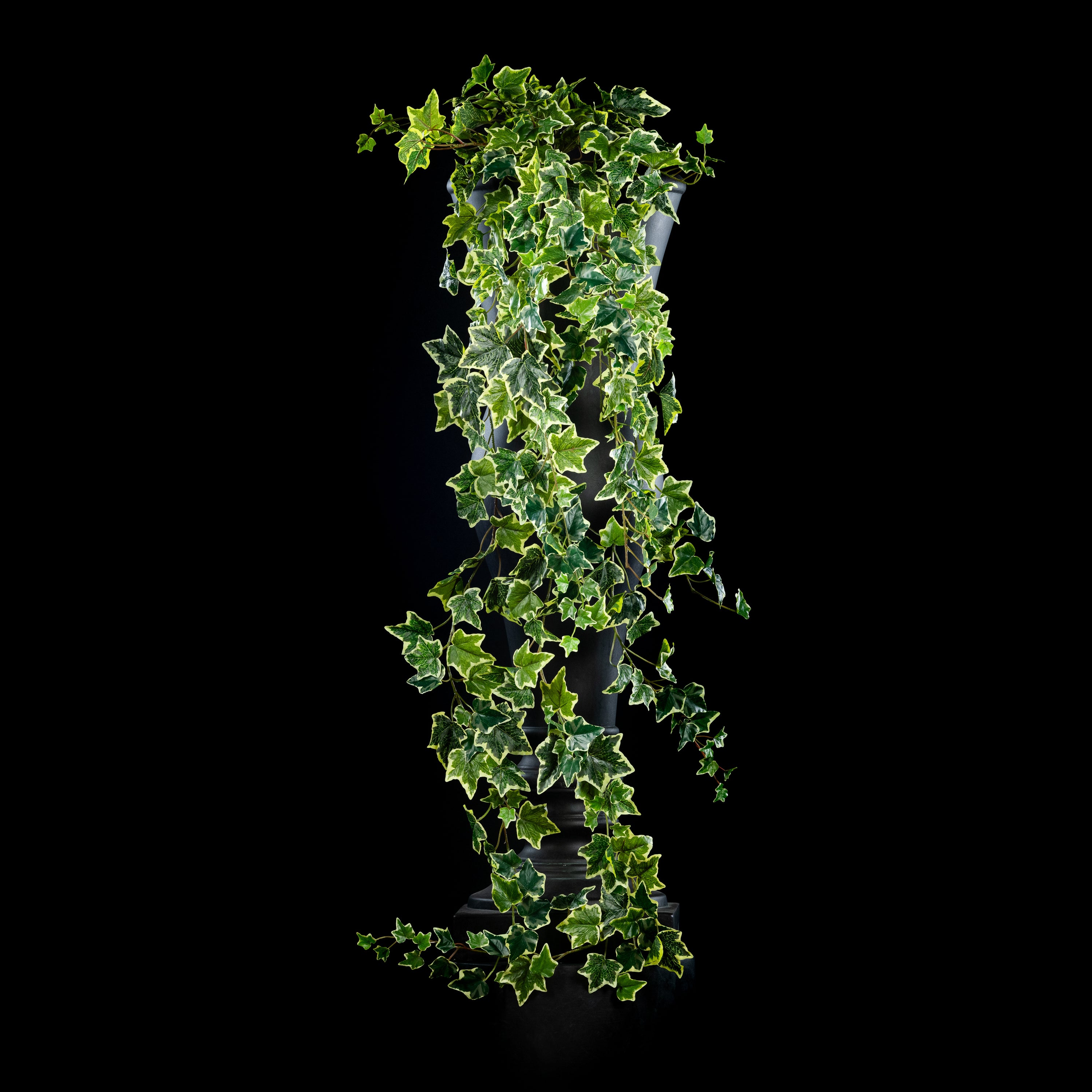 Chute - Hedera